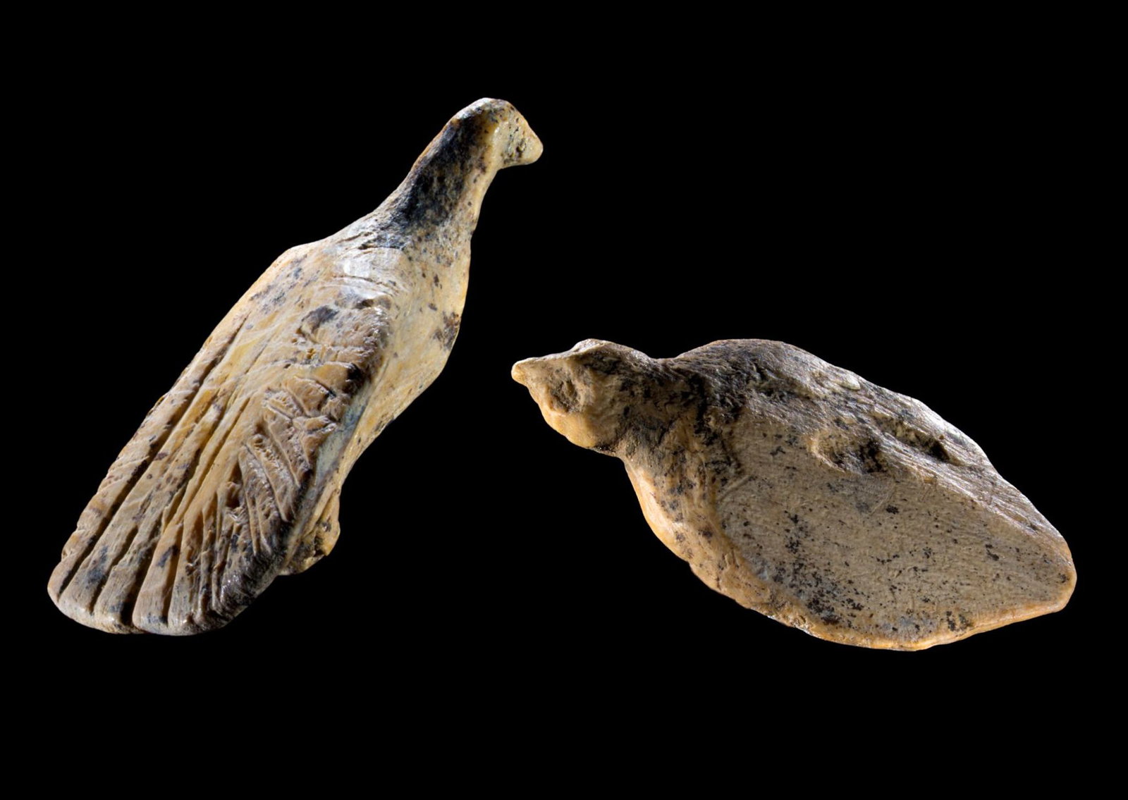 Daumengroße Vogelfiguren wurden auf der Schwäbischen Alb entdeckt. (Handoutfoto)
