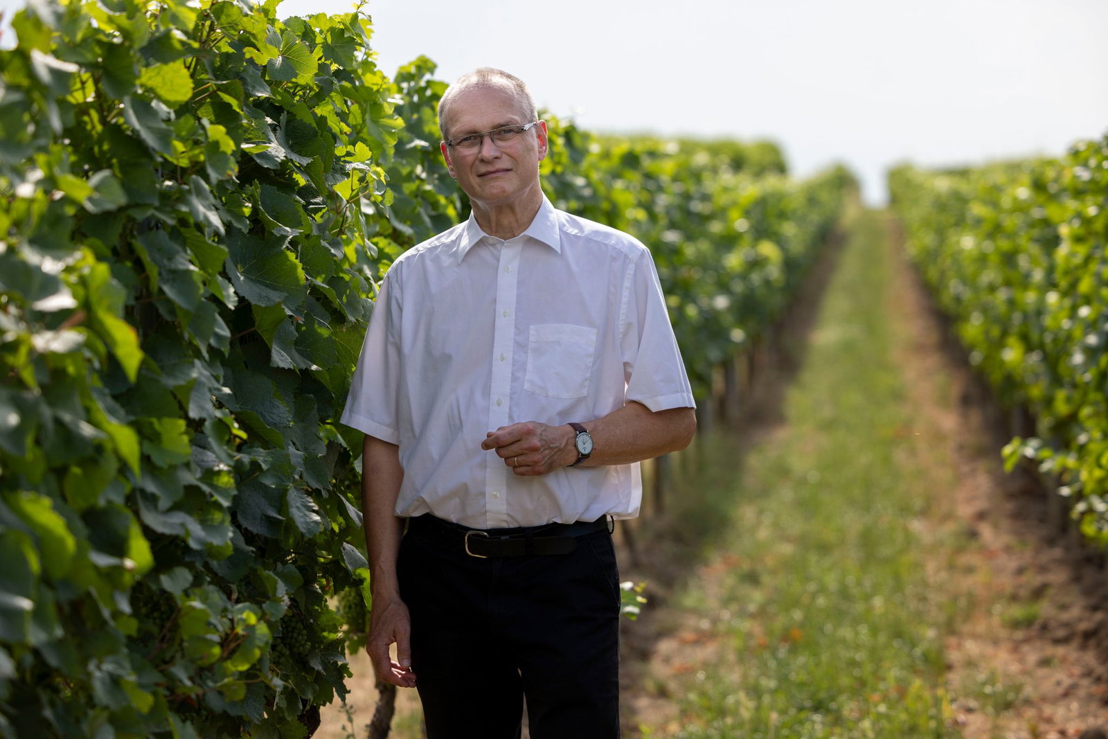 Der pensionierte Pfarrer Tobias Kraft kennt sich mit Rheinhessen und Wein aus. 