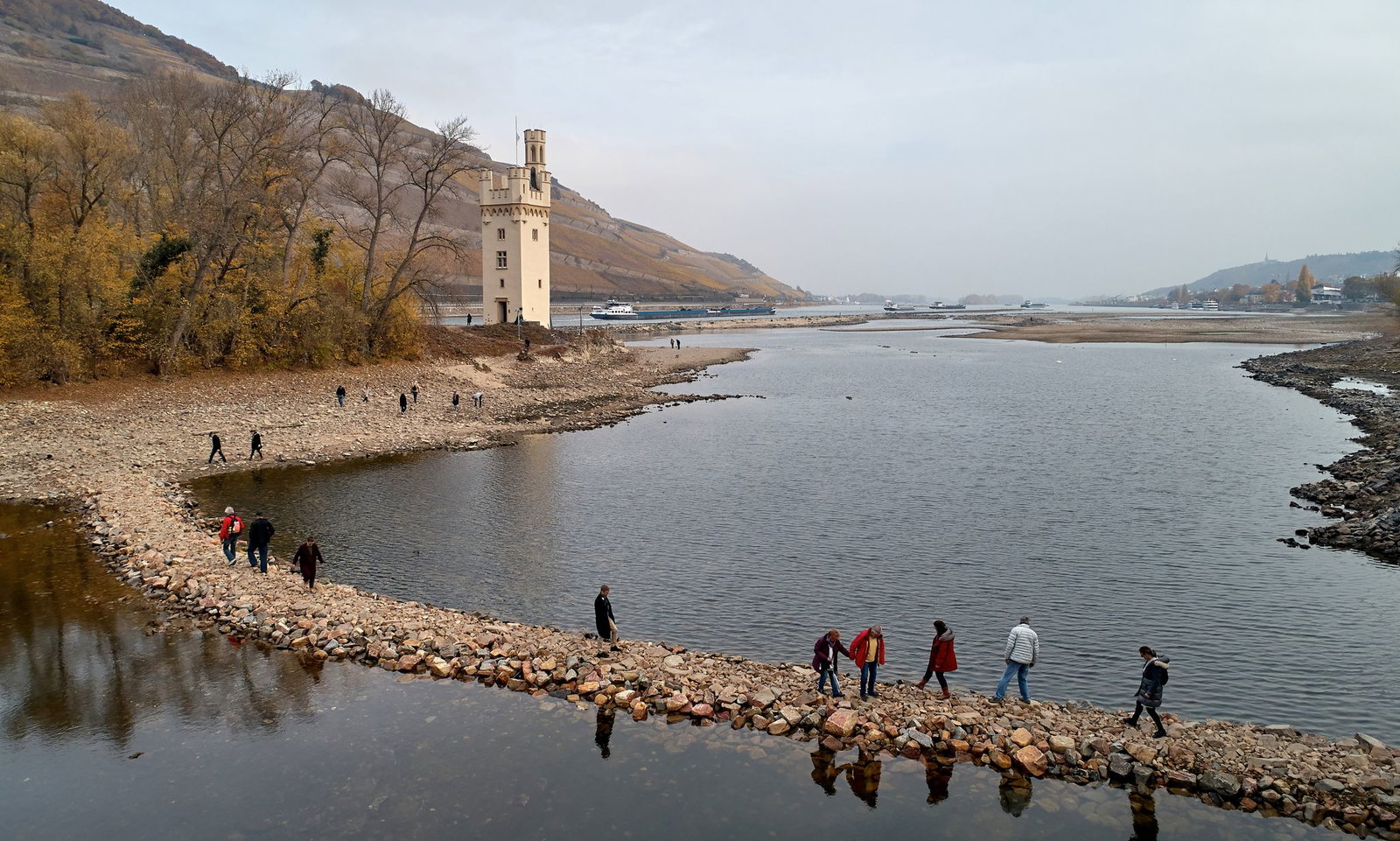 Bei extremem Niedrigwasser wie 2018 ist der Mäuseturm auch mal zu Fuß erreichbar gewesen. (Archivfoto)