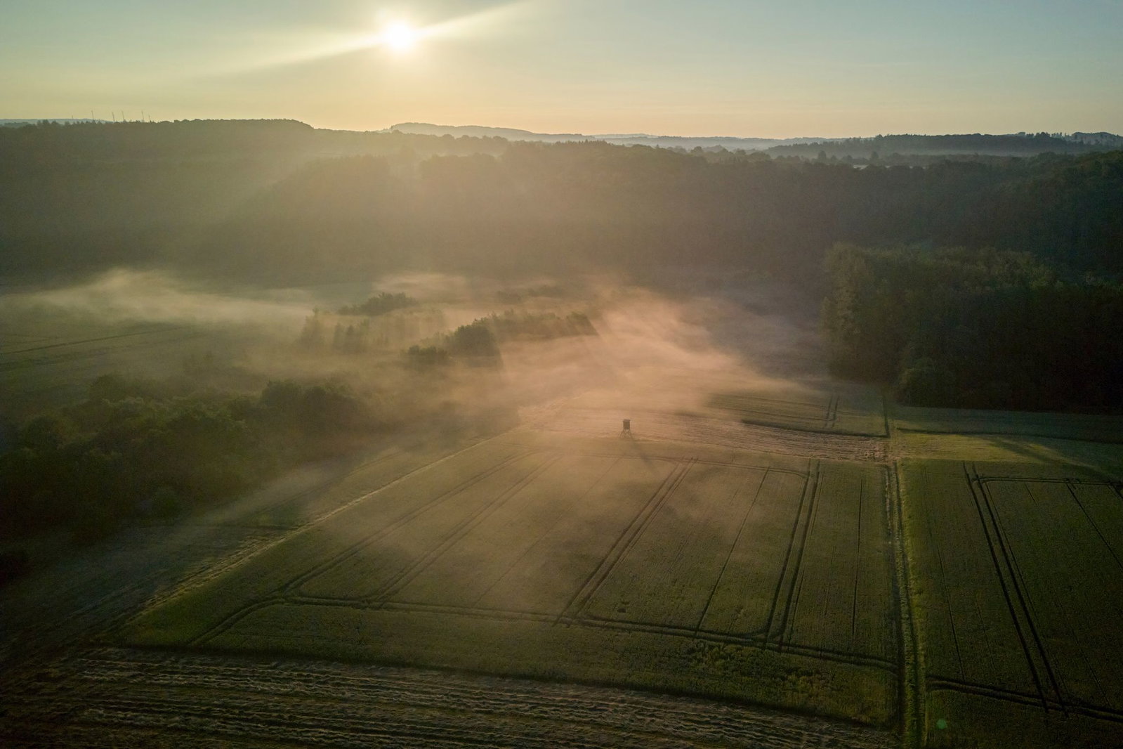 Magische Stimmung am Morgen mitten in der Natur - wer das erleben möchte, den laden Wanderwege wie die kürzlich prämierte Mehrtageswanderung auf dem Druidensteig im Westerwald ein. (Archivbild) 