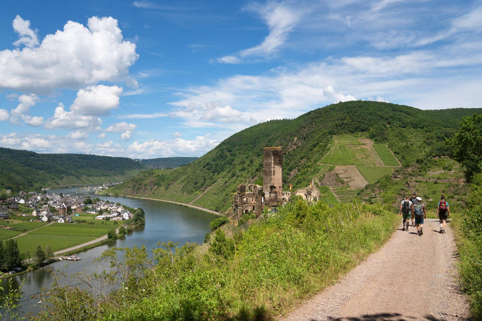 Moselsteig nahe Beilstein