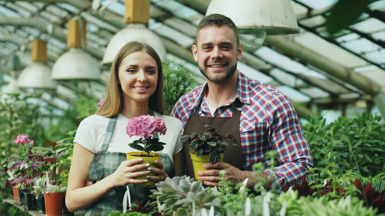 Zwei Landschaftsgärtner halten Blumen und stehen in einem Gewächshaus