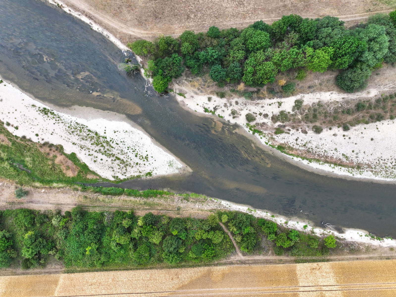 An der Donau ist das Niedrigwasser deutlich zu sehen. (Archivbild)