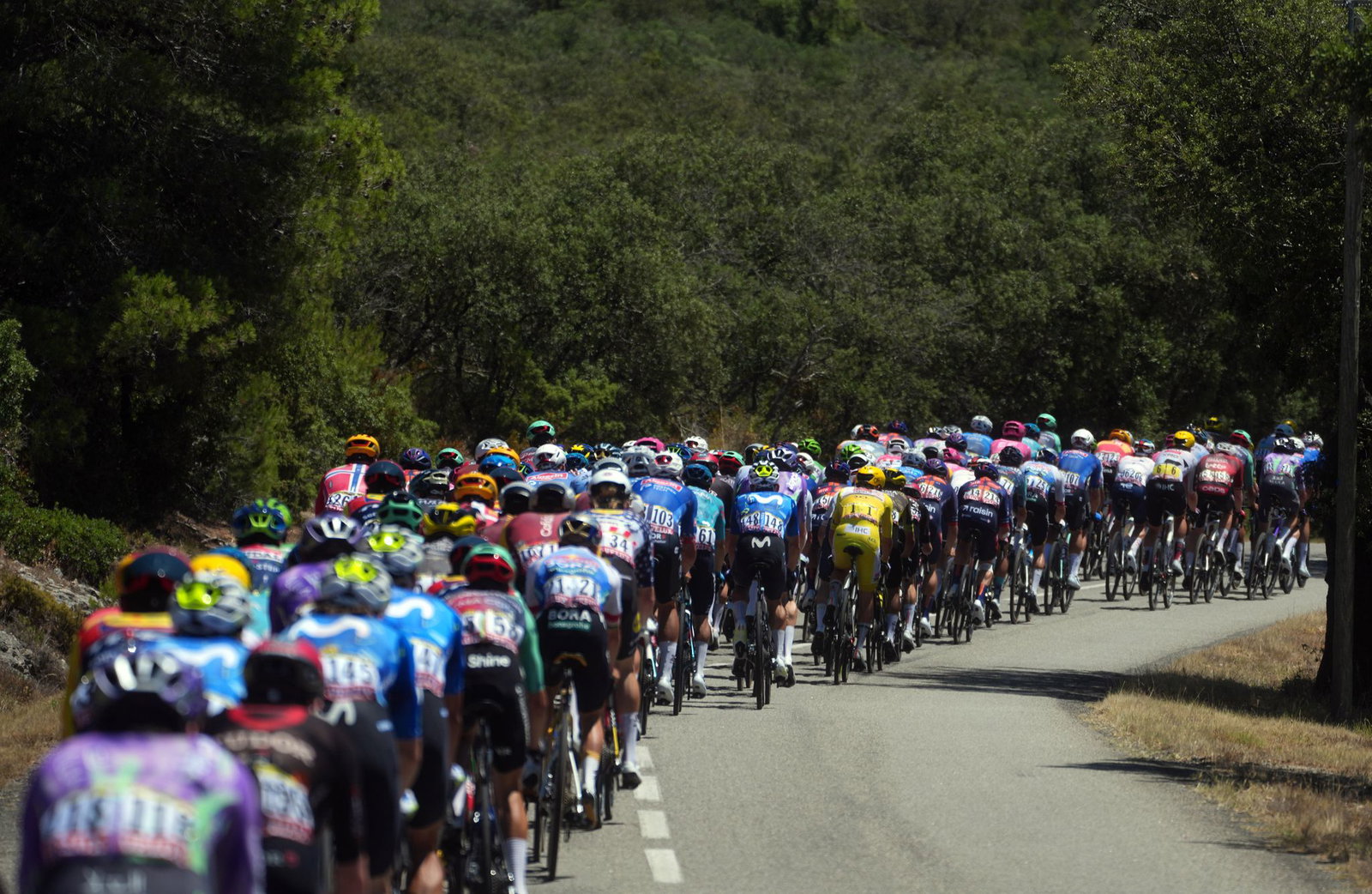 In brütender Hitze unterwegs: Die Profis bei der Tour de France. 