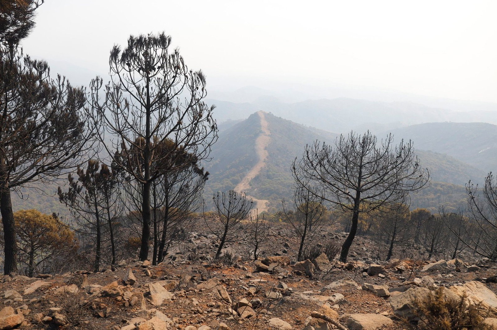 Auch in den Vorjahren kam es in Andalusien immer wieder zu Waldbränden. (Archivbild)