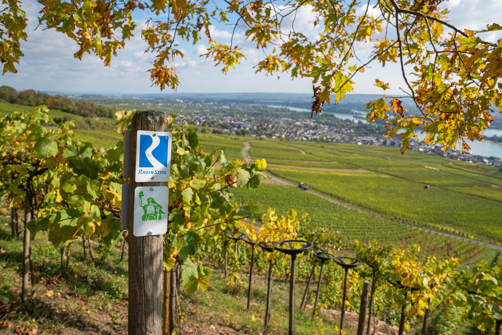 Wegmarkierung des Fernwanderwegs Rheinsteig