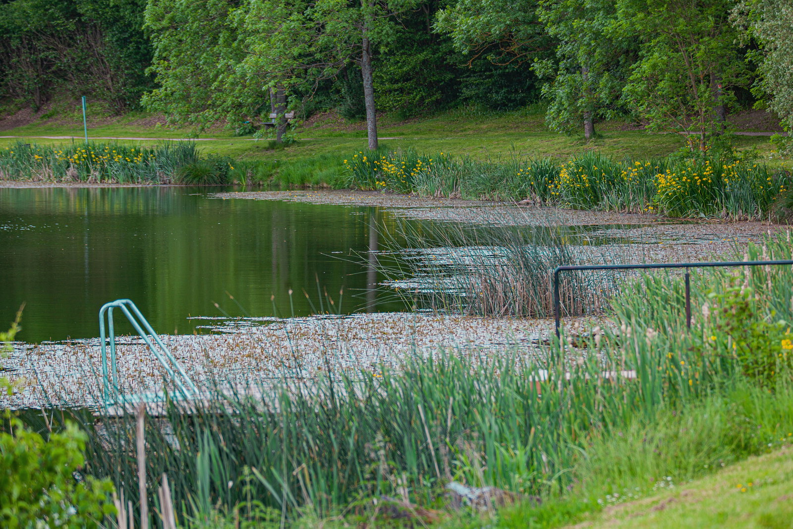 Riedener Waldsee