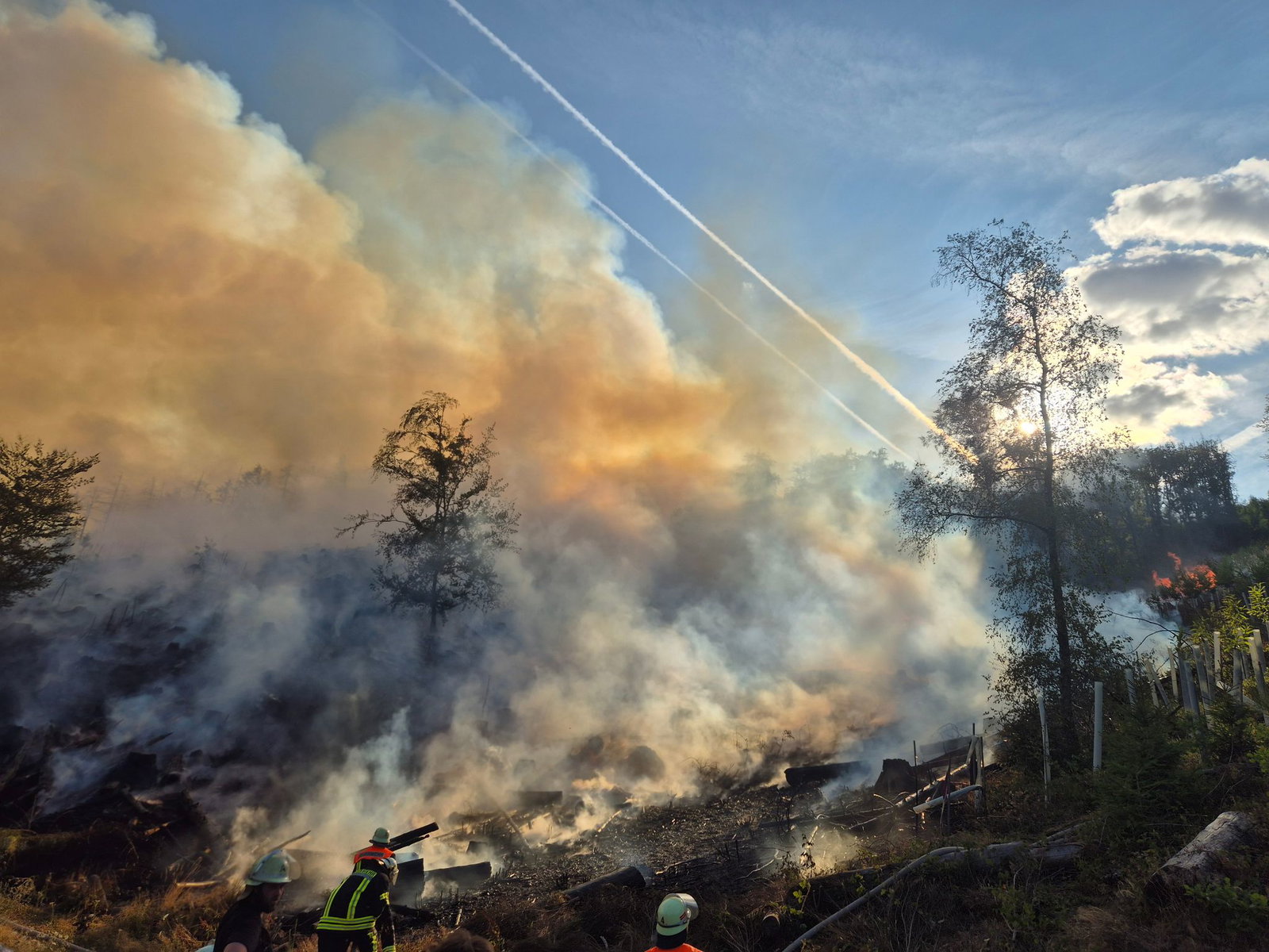 Es brennt ausschließlich in einem Waldgebiet: Die Feuerwehr war die Nacht über im Einsatz