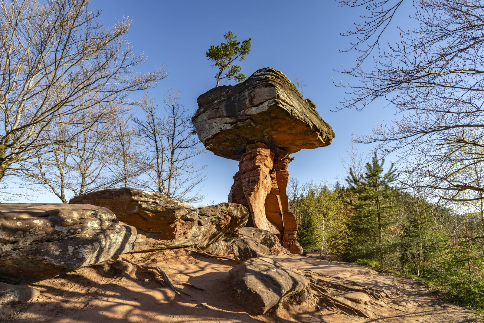 Pilzfelsen Teufelstisch im Pfälzerwald bei Hinterweidenthal