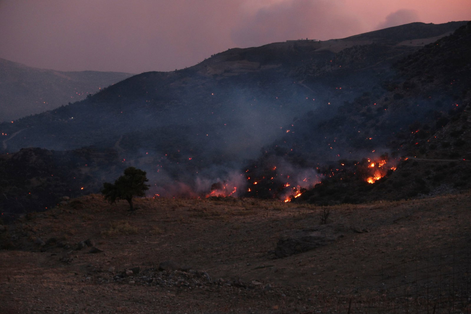 Die Feuerwehr kann den Waldbränden auf Kreta kaum Herr werden.