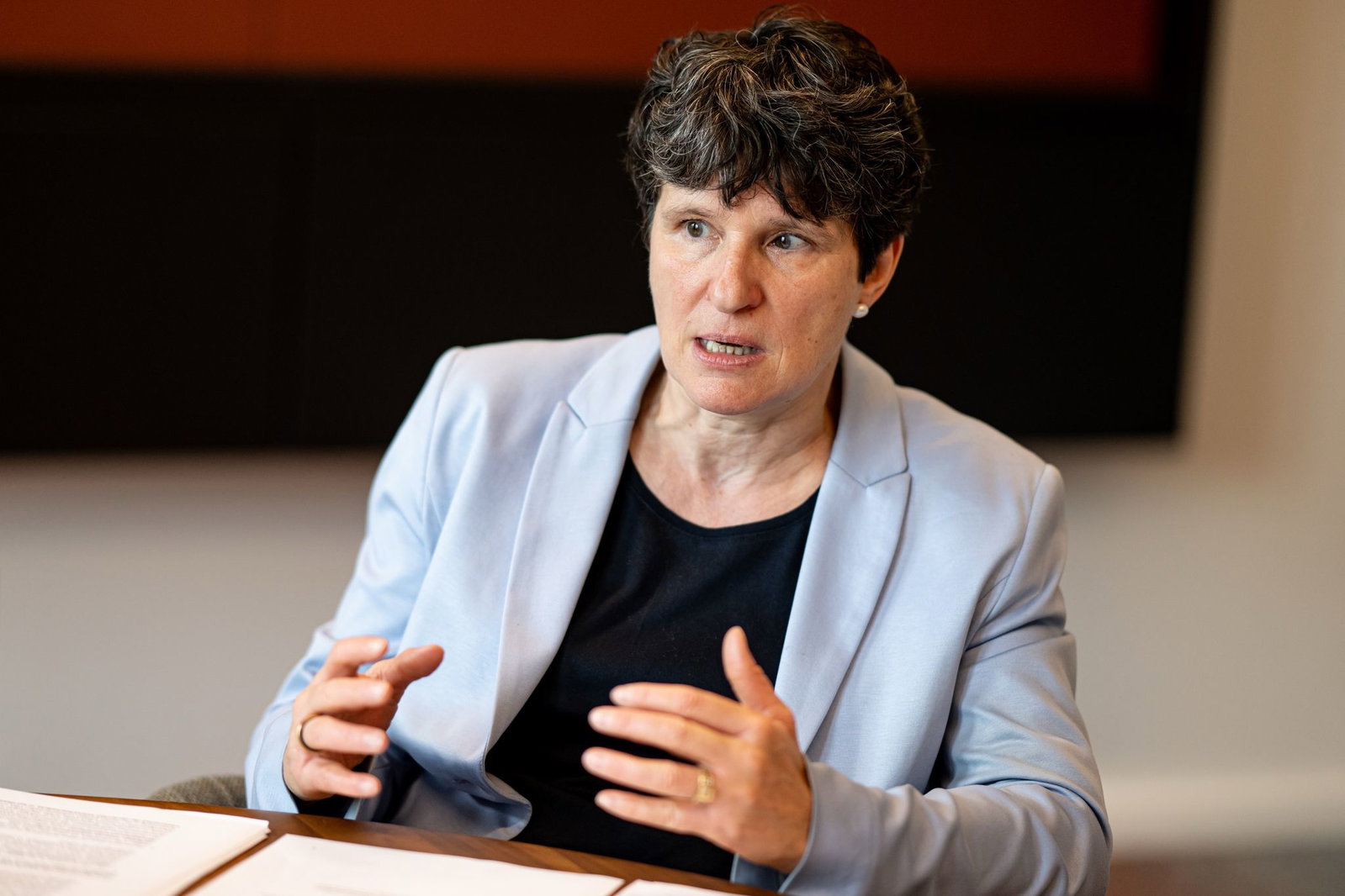 «Die AfD ist keine Wirtschaftspartei», sagt BDI-Hauptgeschäftsführerin Tanja Gönner. 