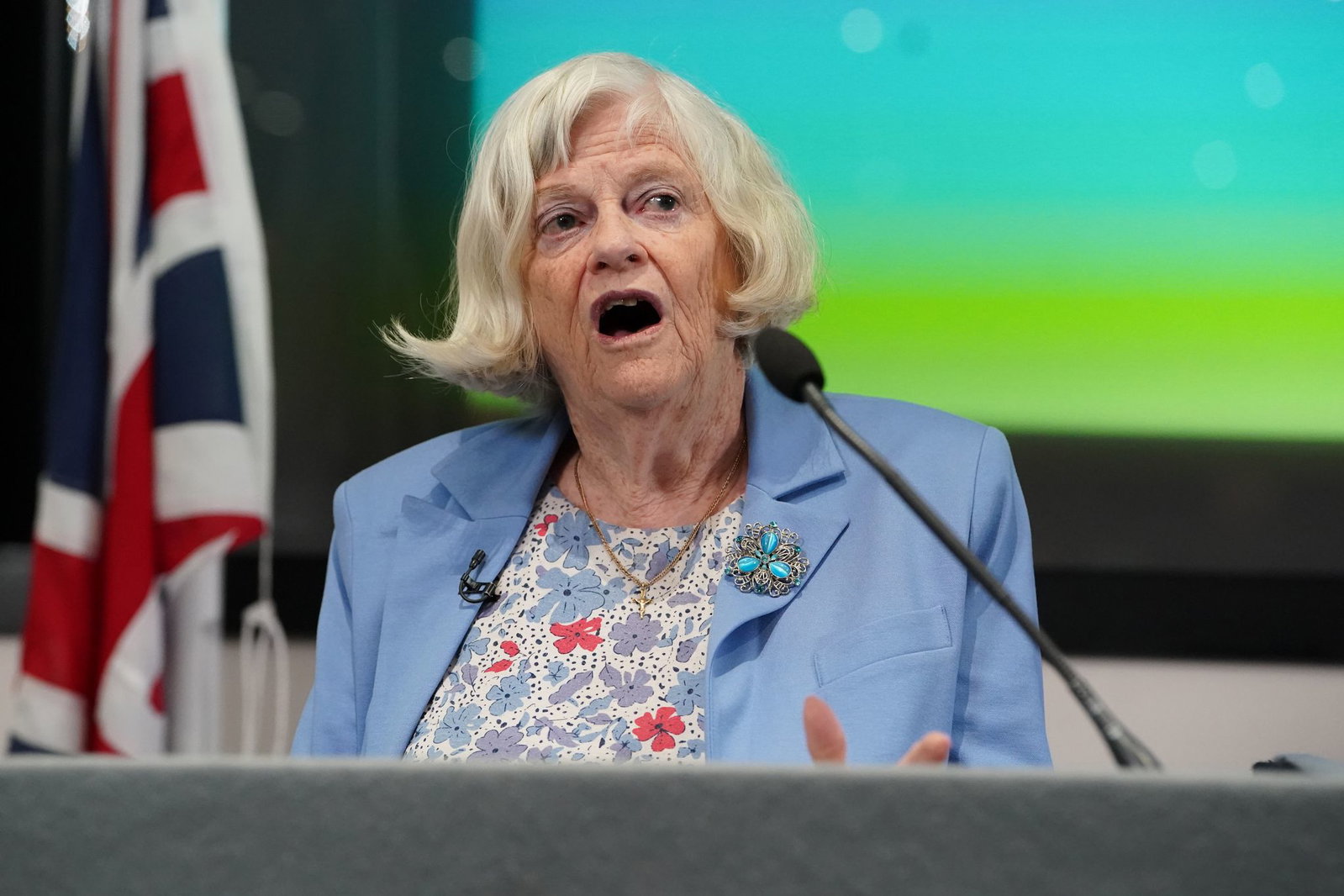 Ann Widdcombe vertrat erzkonservative Positionen.