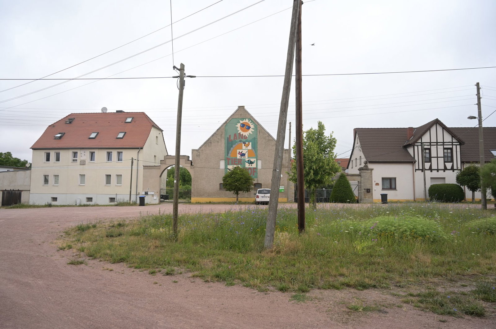 Das vier Jahre alte Mädchen war am Mittwochnachmittag von dem Familienhund im Ortsteil Drosa in der Gemeinde Osternienburger Land attackiert worden. 