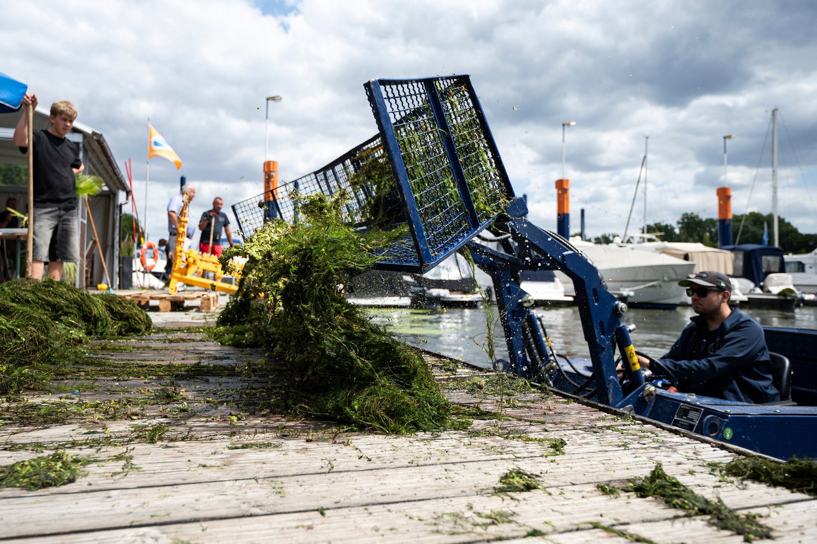 An einigen Stellen am Rhein, wie dem Hafen in Wiesbaden-Schierstein, musste die Wasserpest massenhaft abgemäht und mühsam aus dem Wasser geholt werden. (Archivbild)