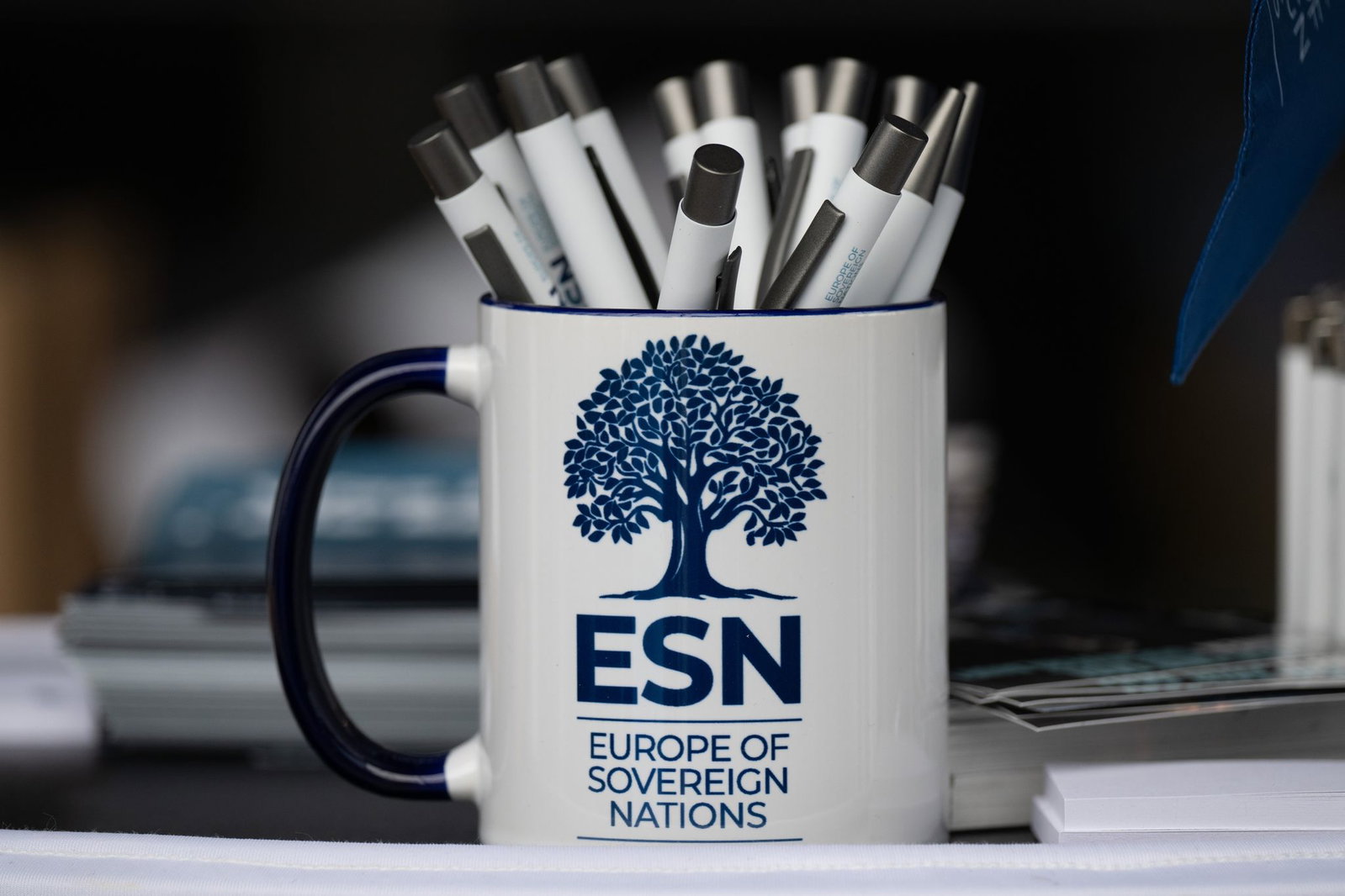 Die ESN-Partei ist als europäische politische Partei registriert. (Archivbild)
