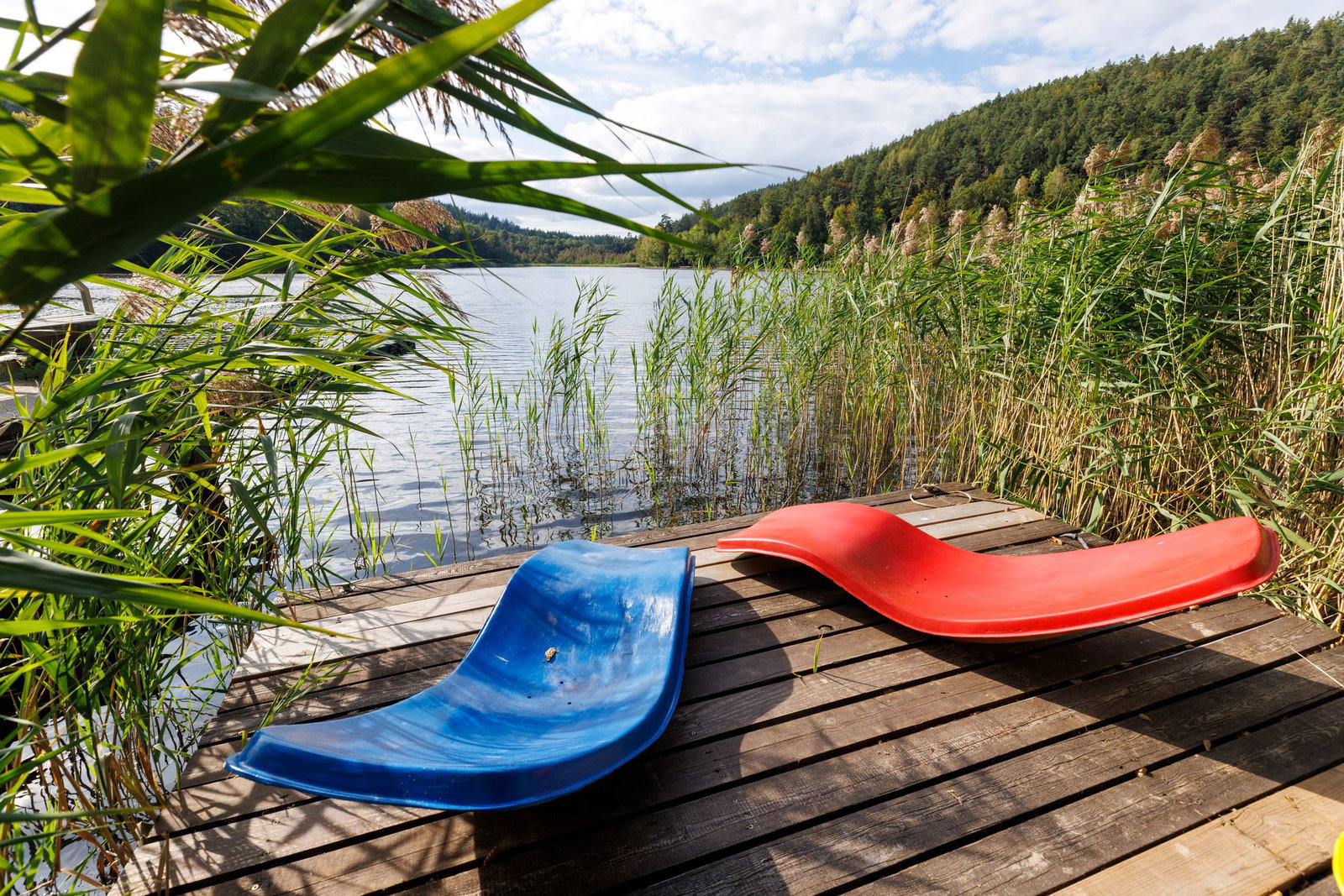 Entspannen und schwimmen mitten in der Natur - das lässt sich an Badeseen und in Naturschwimmbädern. (Symbolbild)