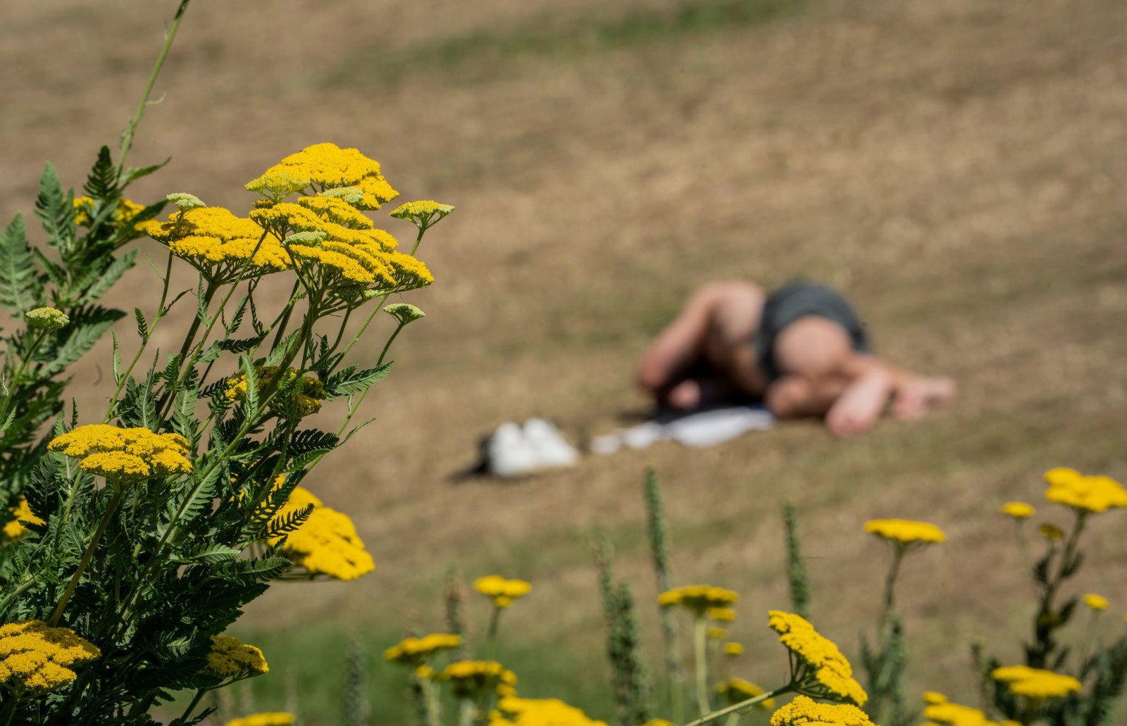 Es gibt weiter Sommerwetter. (Archivbild)