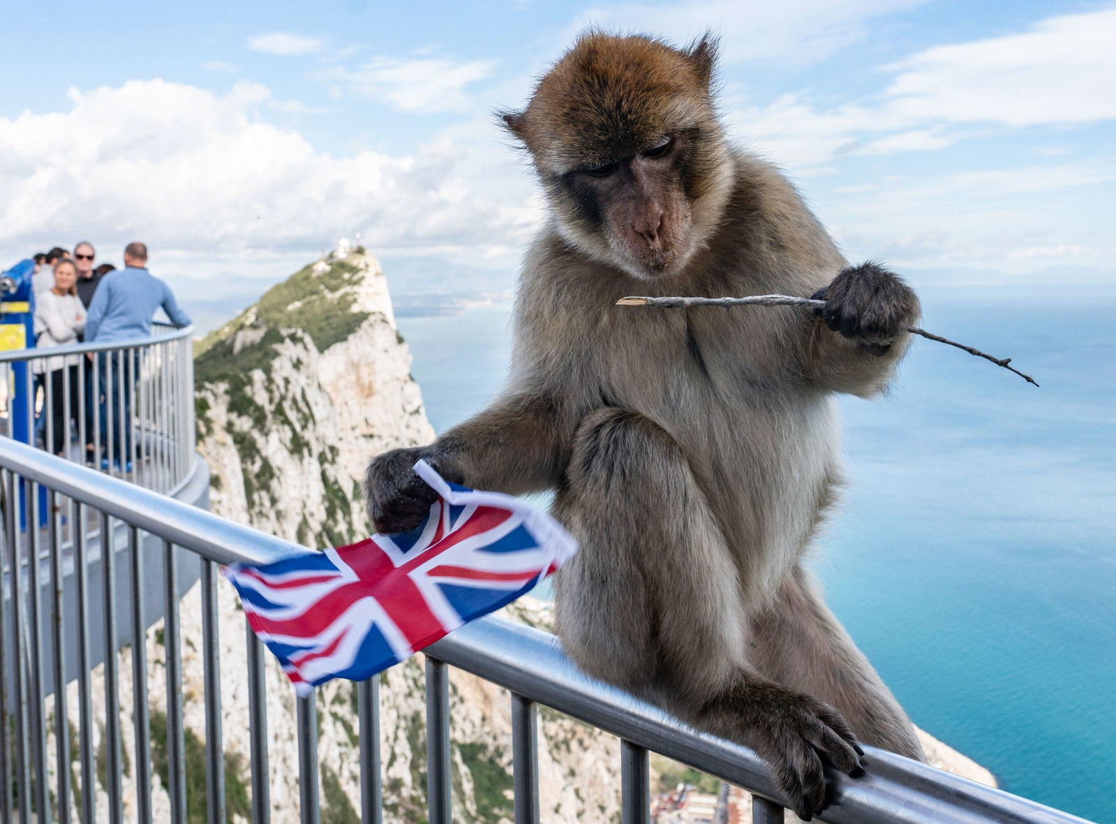 Der Felsen von Gibraltar ist für seine Affen bekannt. (Archivfoto)