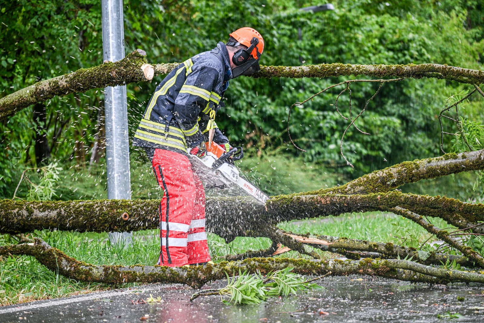 Umgestürzte Bäume beschäftigen in der Nacht die Feuerwehr. (Symbolbild)