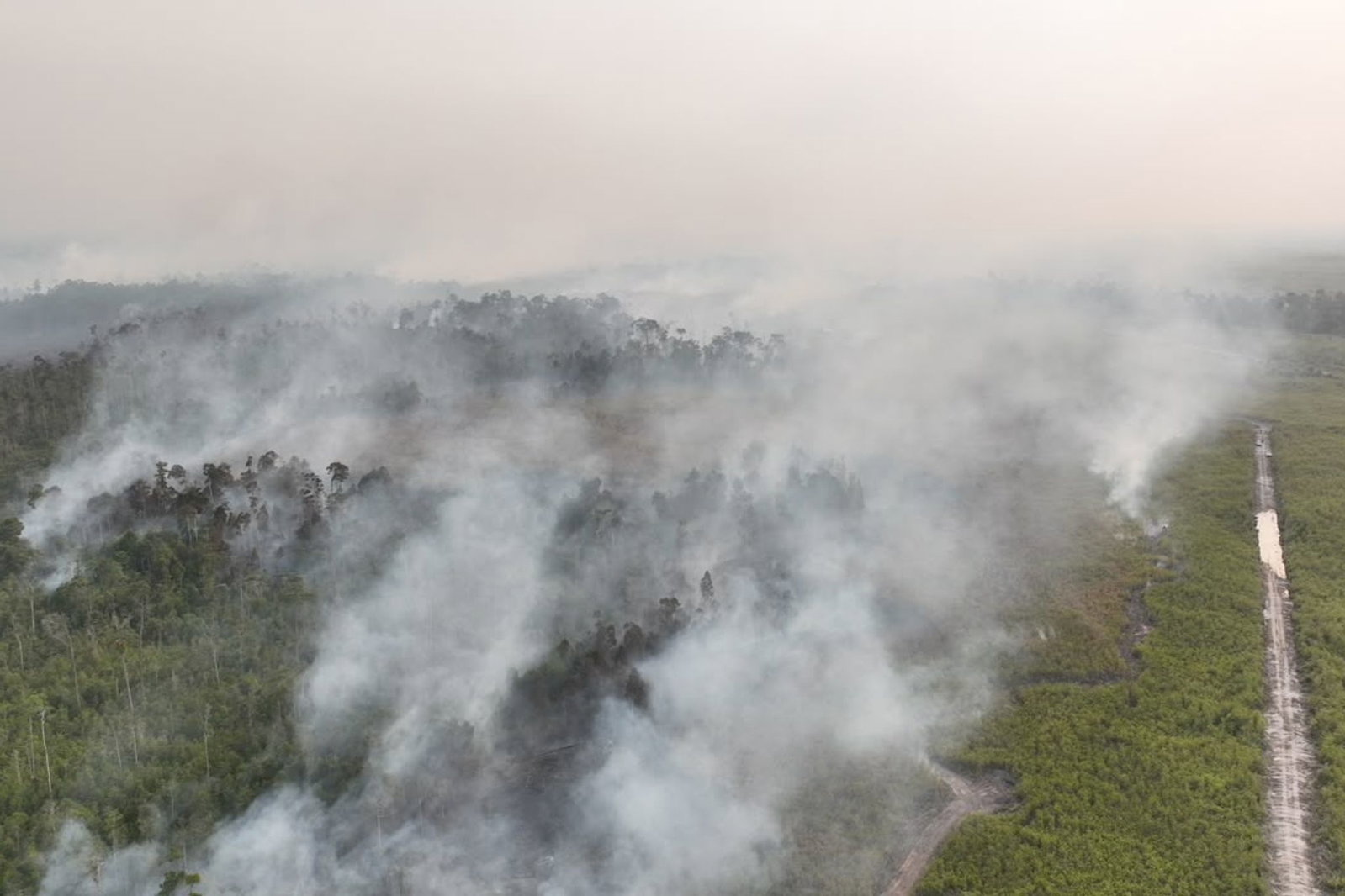 Auf Borneo wüten seit Wochen schwere Waldbrände.