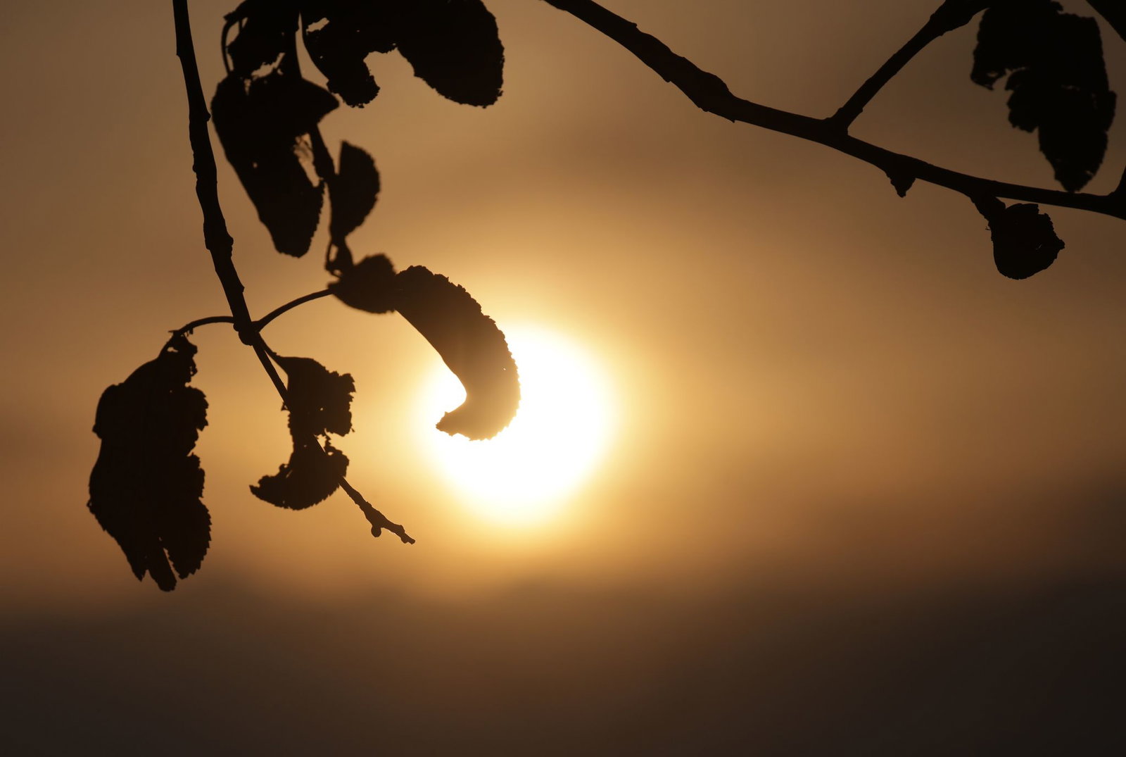 Am Mittwoch dürfte sich die Sonne wieder zeigen. (Archivbild) 