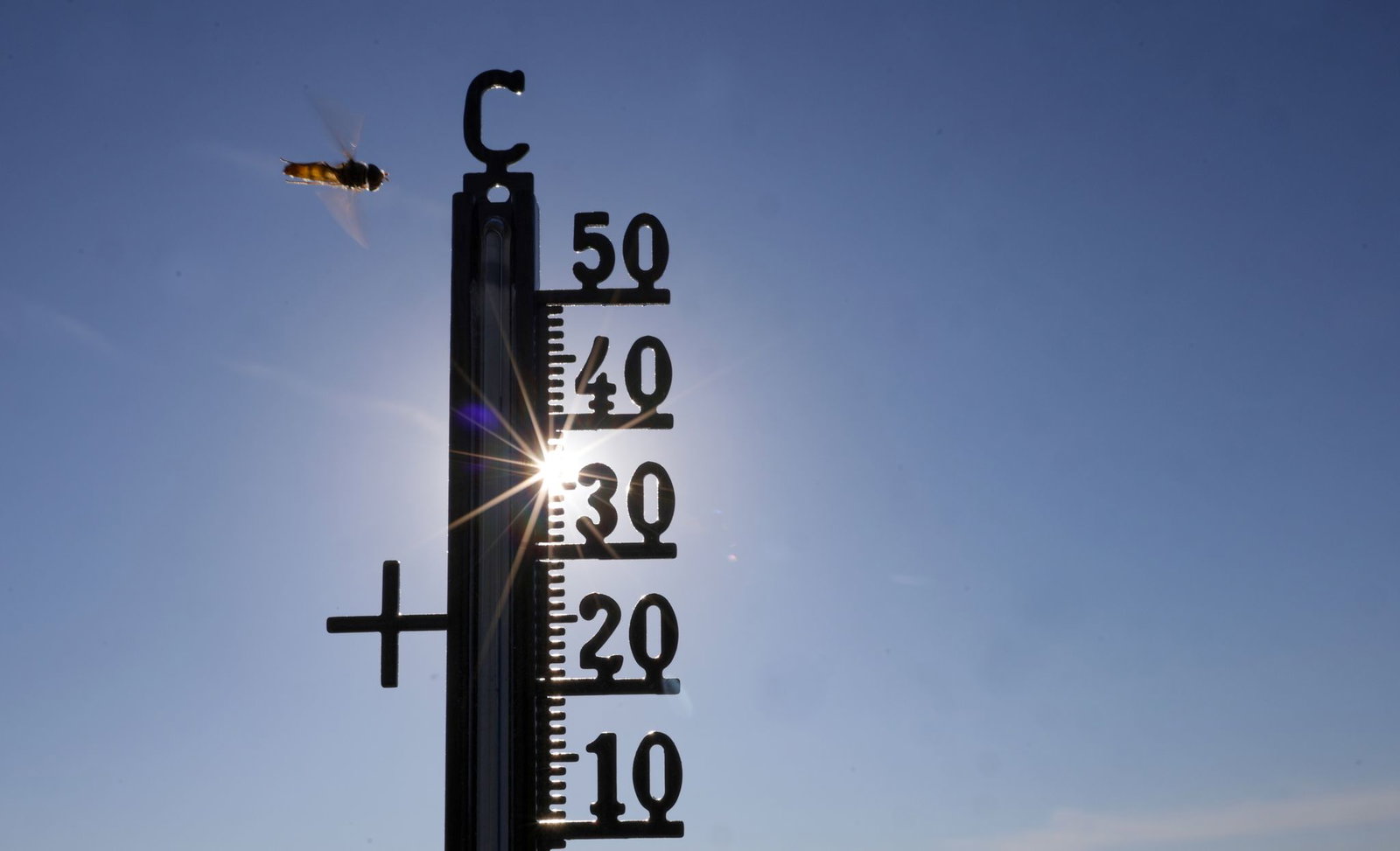 Die hohen Temperaturen der letzten Wochen haben im Südwesten Schätzungen zufolge auch zu vielen Todesfällen geführt. (Symbolfoto)