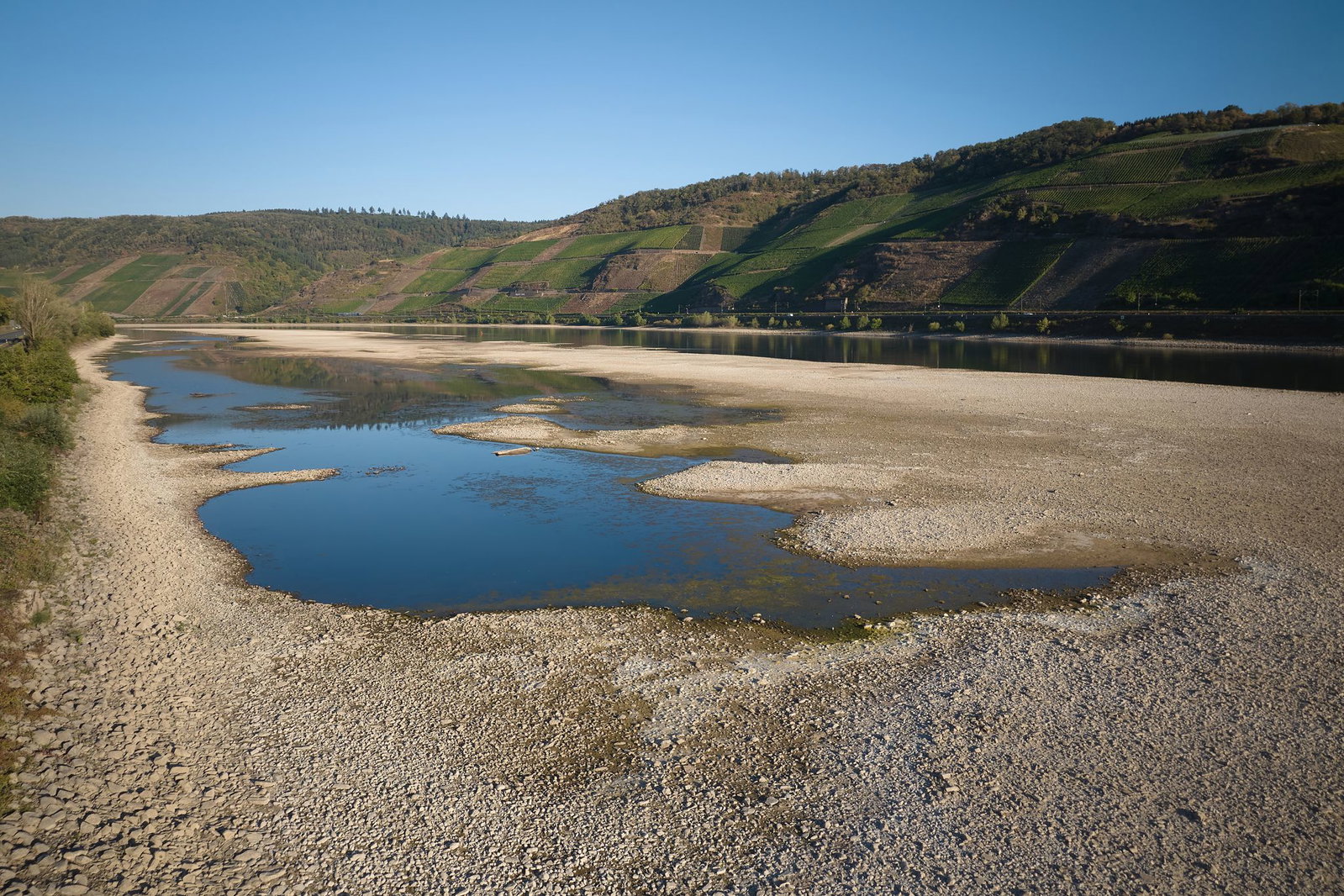 Rinnsal statt reißende Strömung: Der Rhein hat infolge der Sommertrockenheit viel Wasser verloren - auch bei Osterspai nahe Koblenz. (Archivbild)