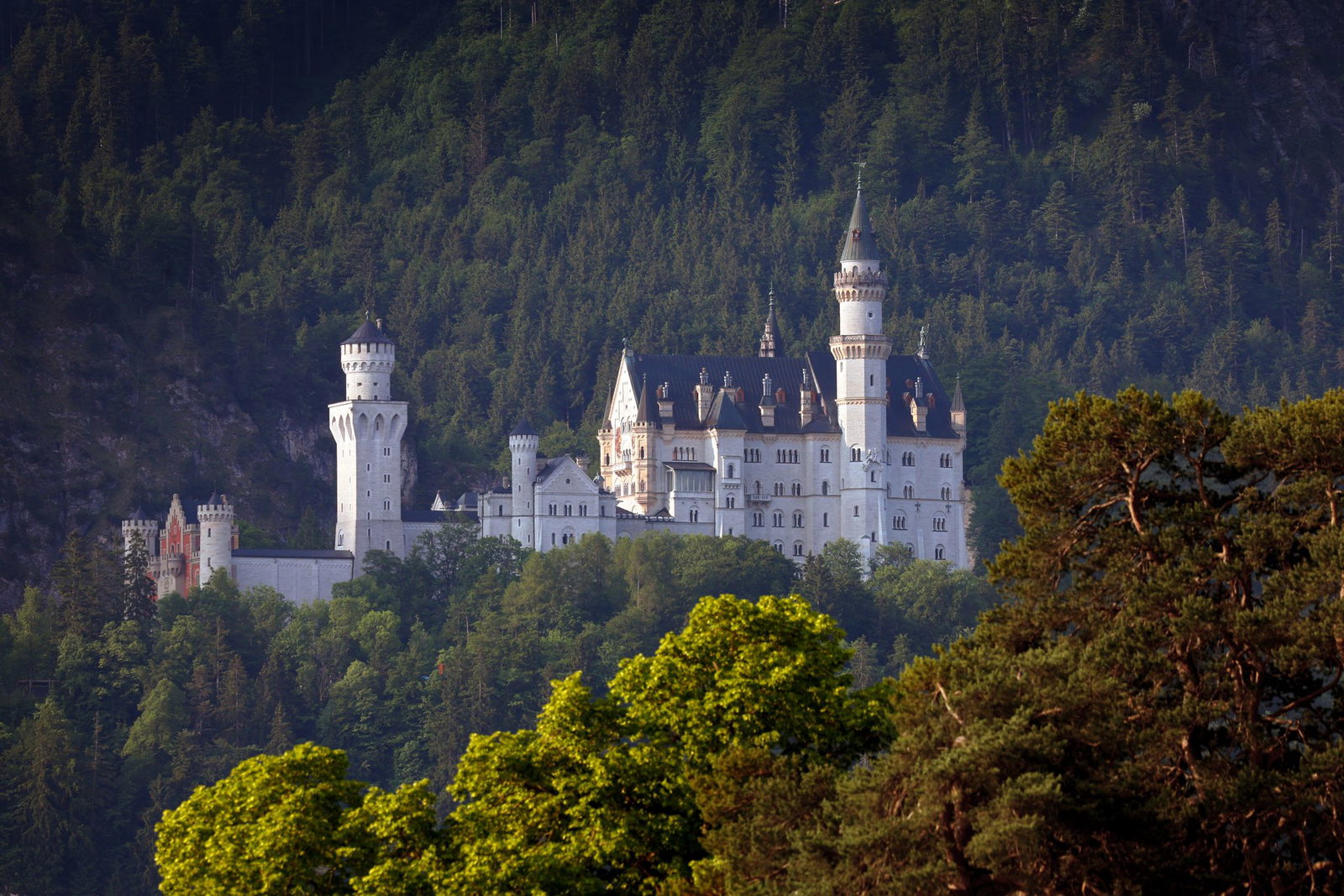 Das Schloss Neuschwanstein gilt als größter Besuchermagnet der Bayerischen Schlösserverwaltung. (Symbolbild) 