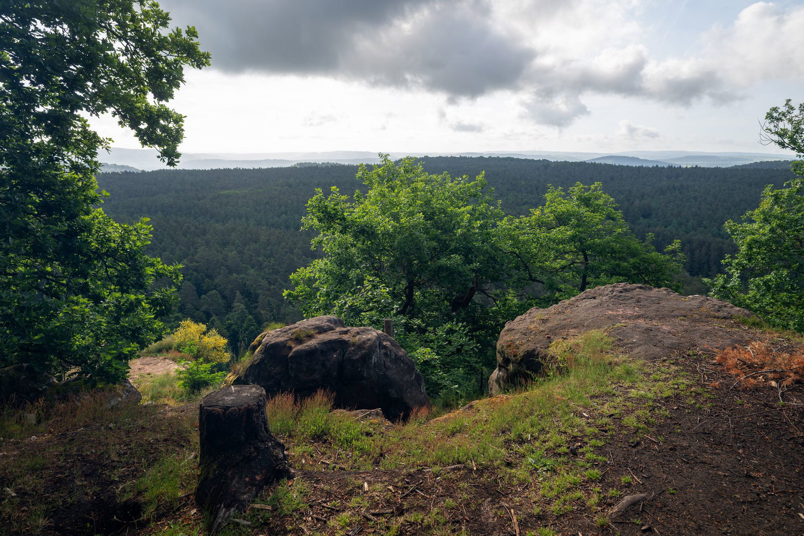Wolken bedecken in Rheinland-Pfalz und im Saarland den Himmel. (Symbolbild)