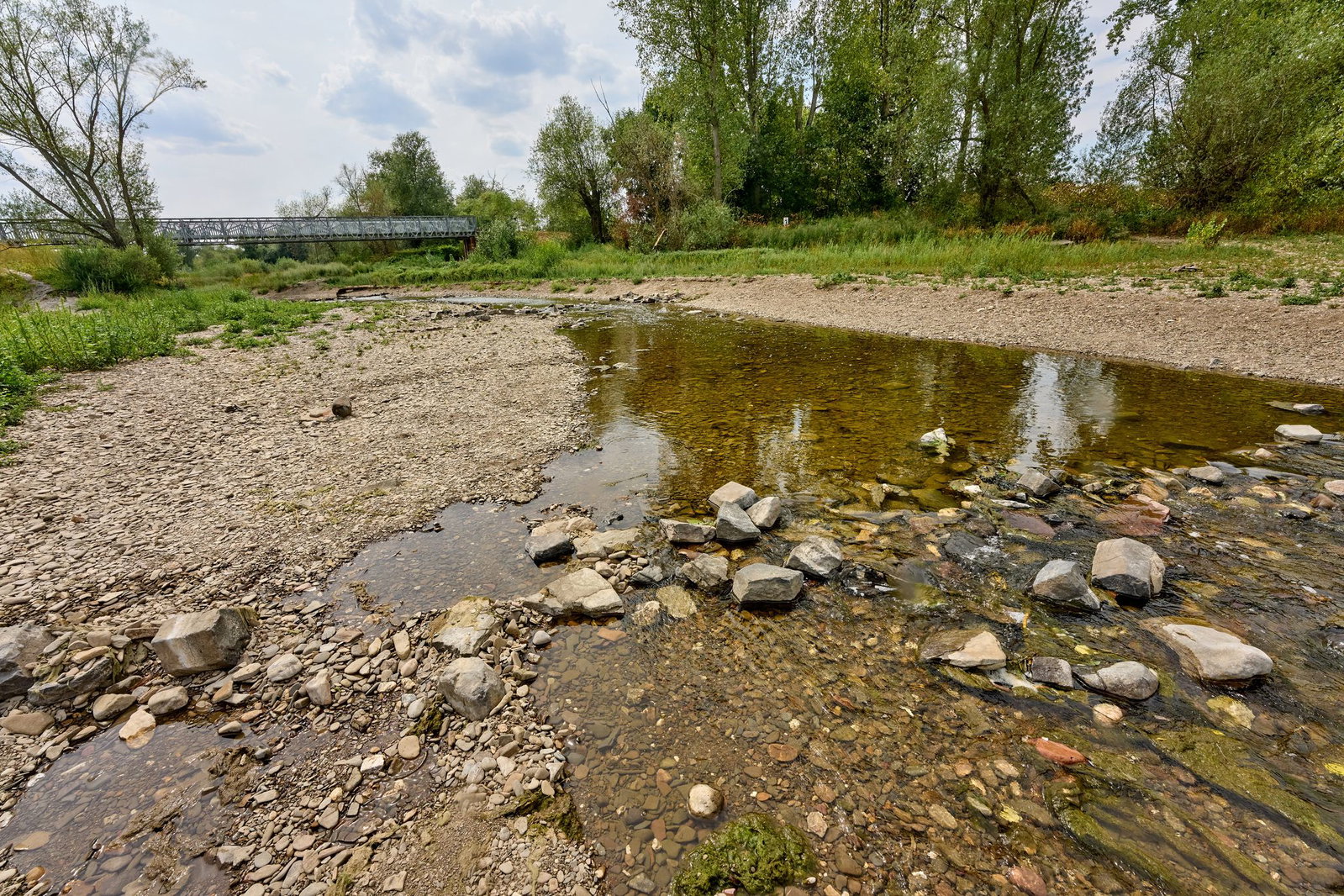 Anhaltende Hitze und Trockenheit haben den Pegel des Flusses deutlich sinken lassen, sodass die Ahr nur noch als schmales Rinnsal in den Rhein fließt.