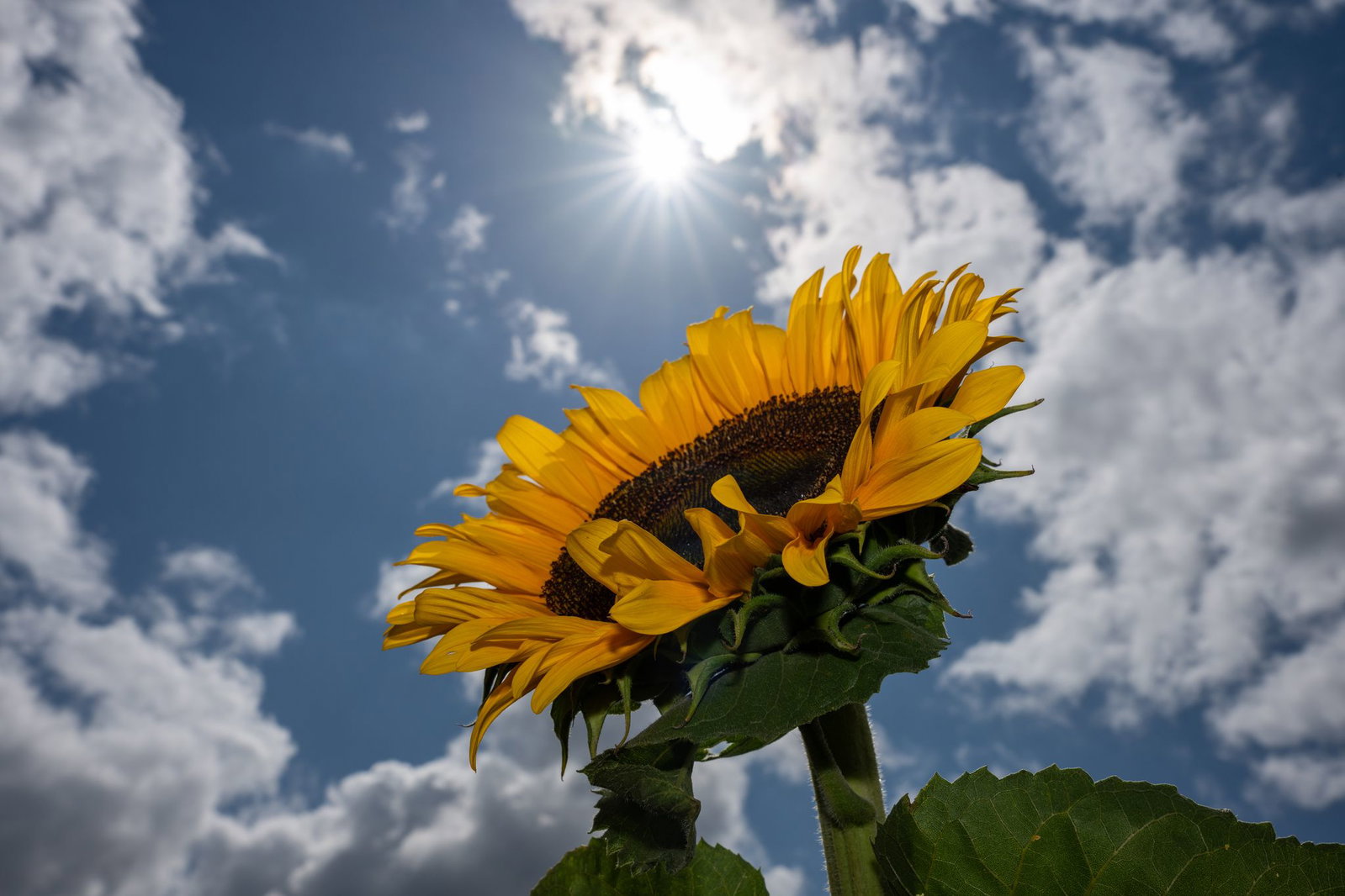 Das Wetter bleibt sommerlich - und es ist nicht mehr ganz so heiß. (Symbolbild)