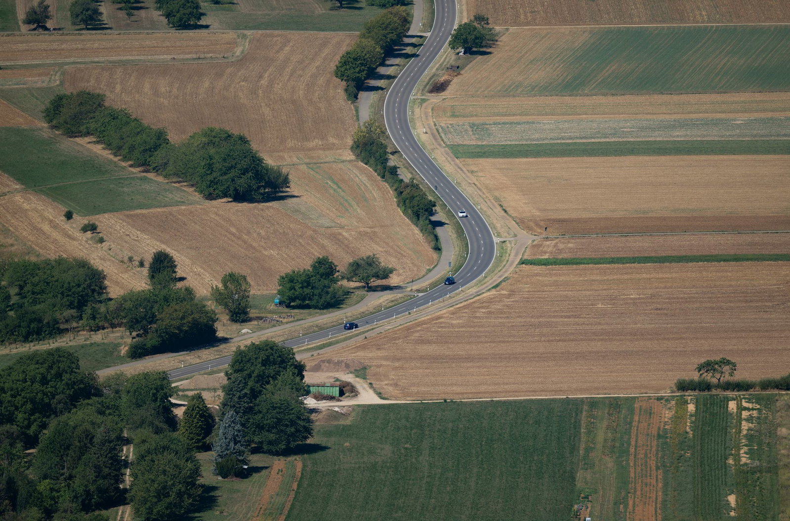 Grün und Braun wechseln sich in vielen Landschaften ab.