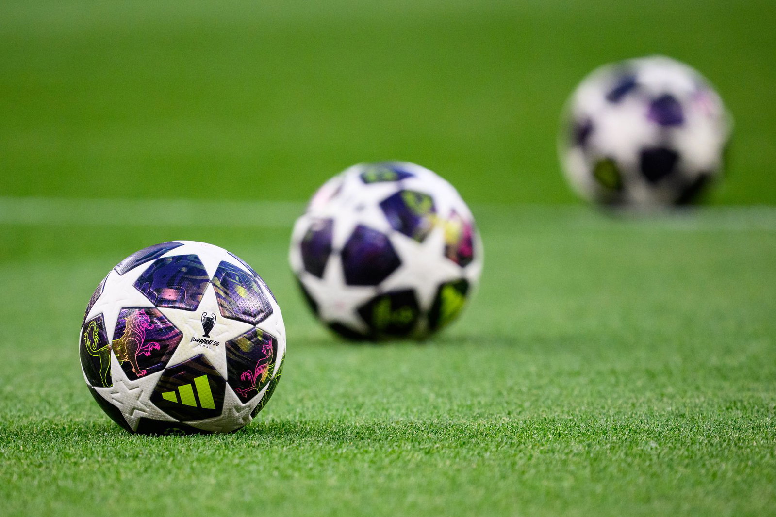 In der Champions League rollt ab dem 8. September wieder der Ball.