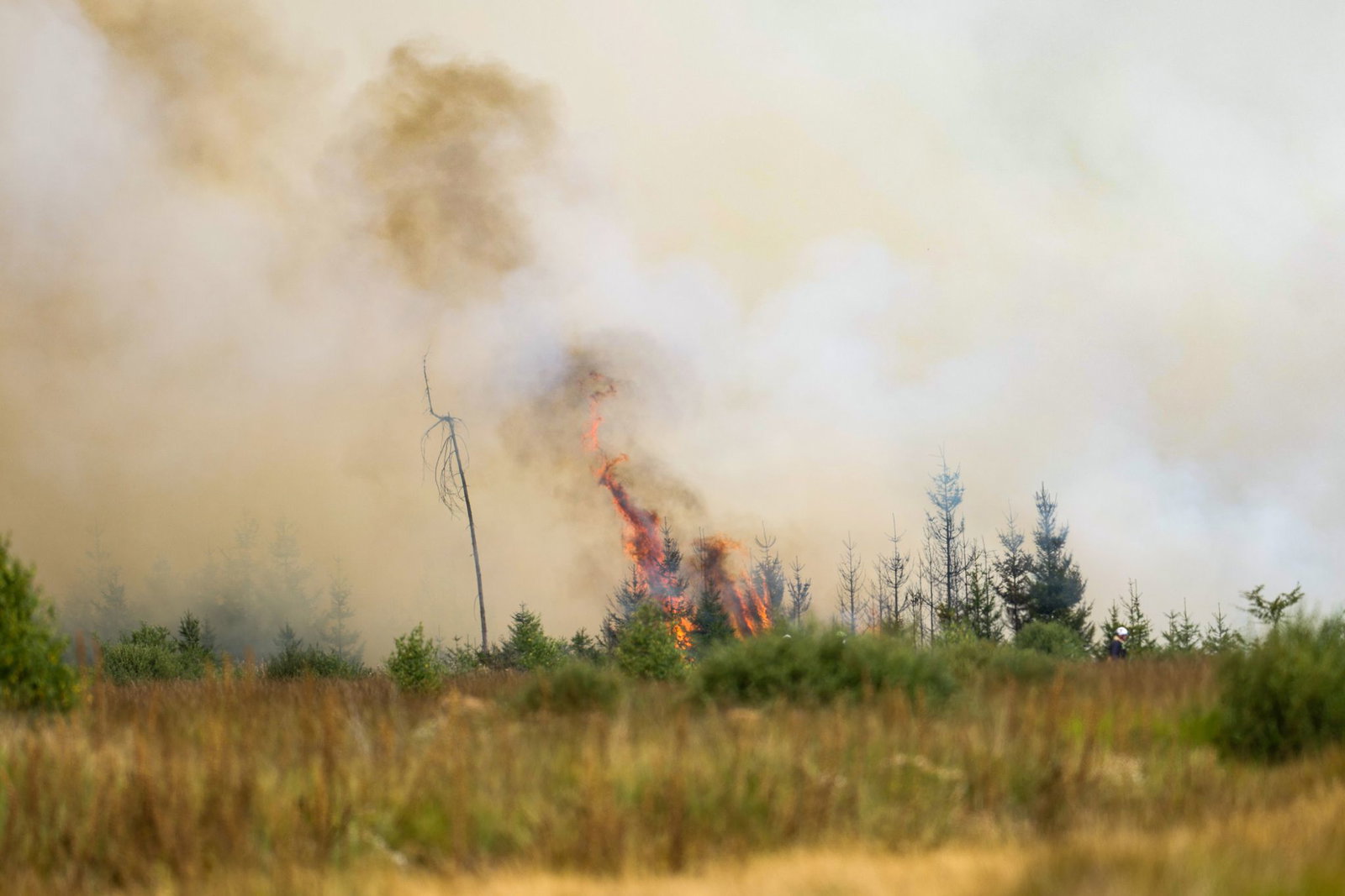 Große Waldbrände in Belgien und Westdeutschland haben Folgen auch für Regionen im Südwesten.