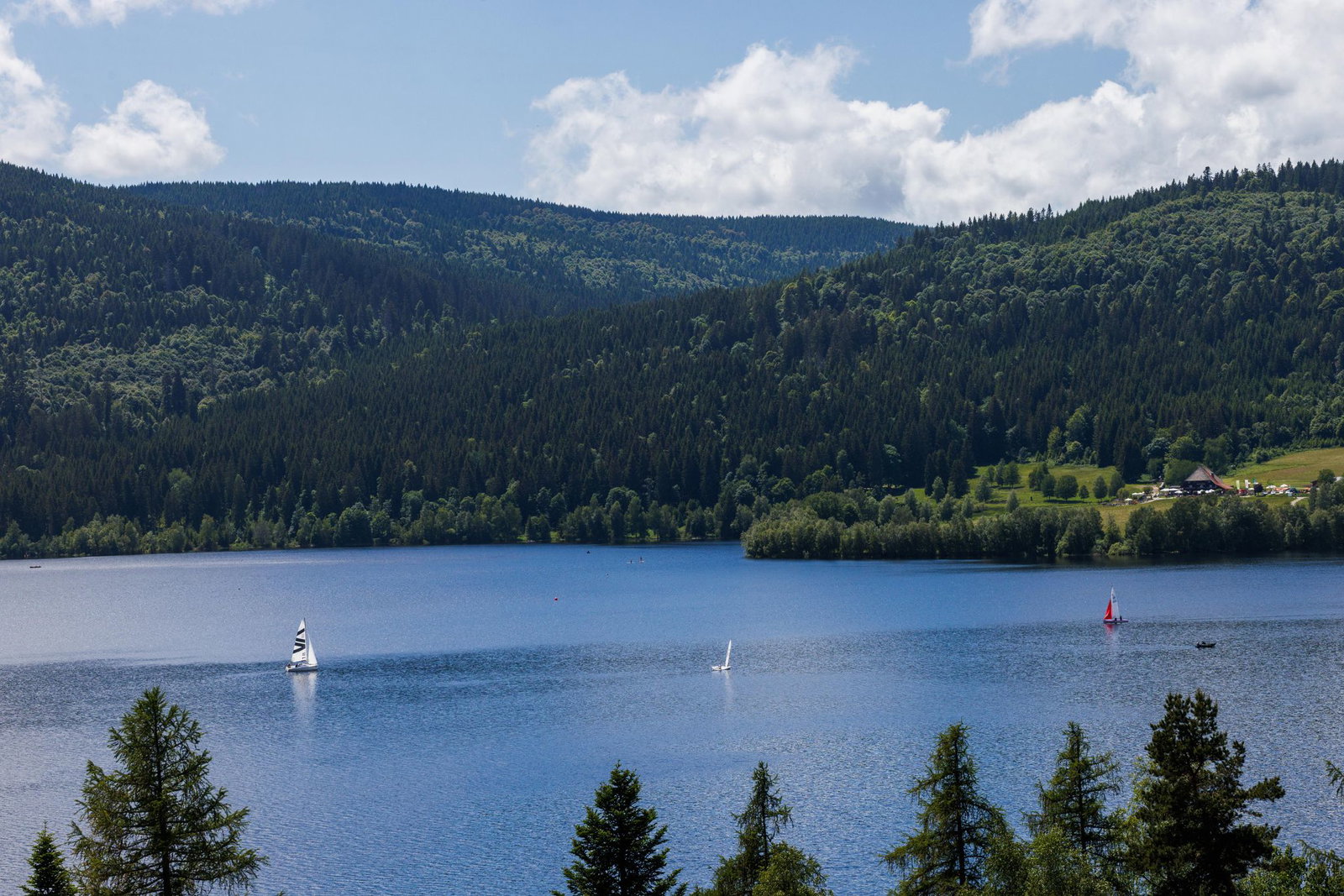 Der Schwarzwald ist eine der gefragtesten Urlaubsregionen in Deutschland. (Archivbild)