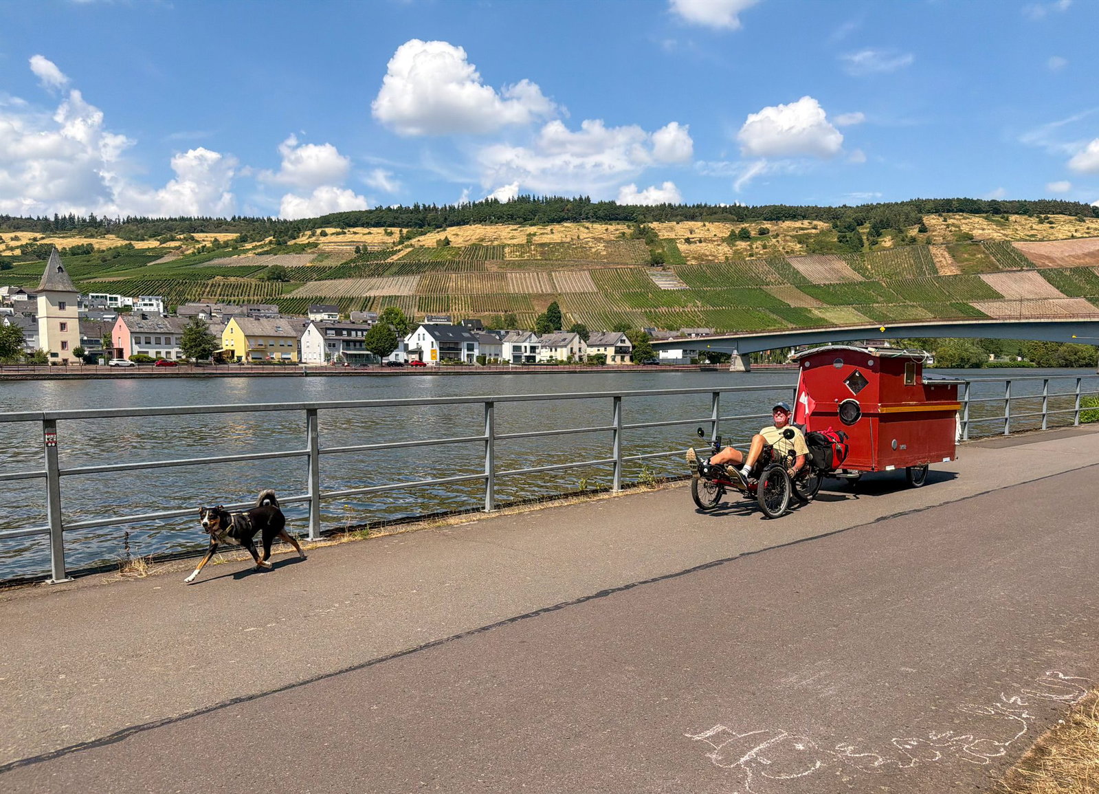 Hündin «Kaya» begleitet den Radler. 