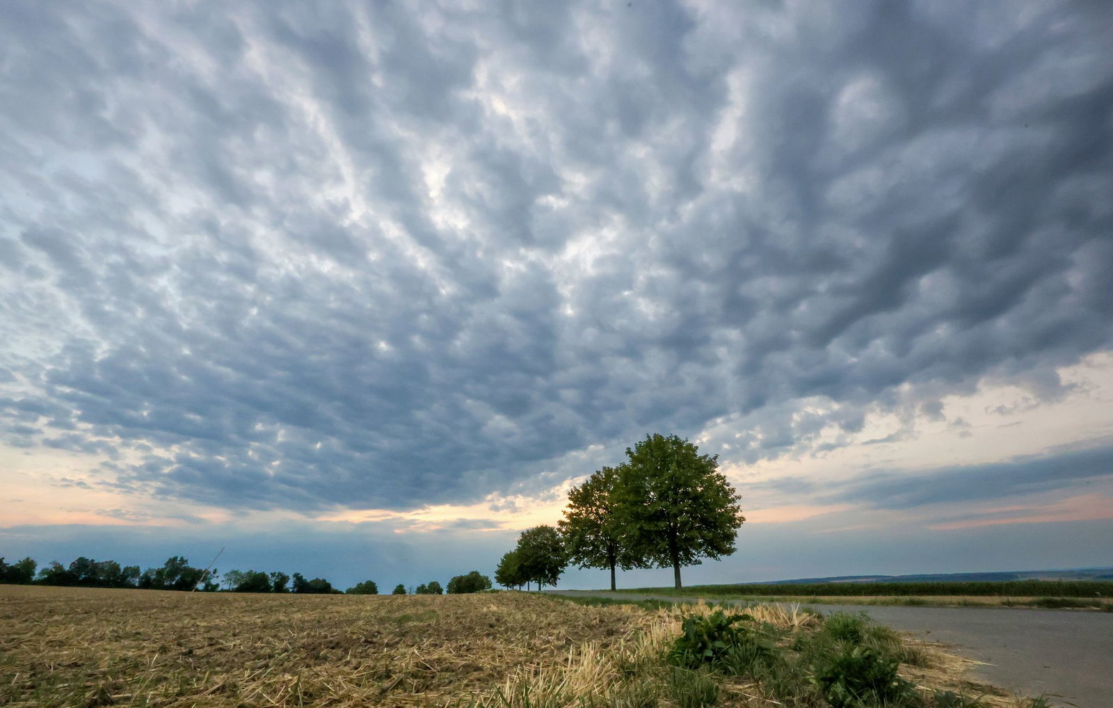 Nach langer Trockenheit kann ein bisschen Regen nicht viel bewirken. (Archivbild) 
