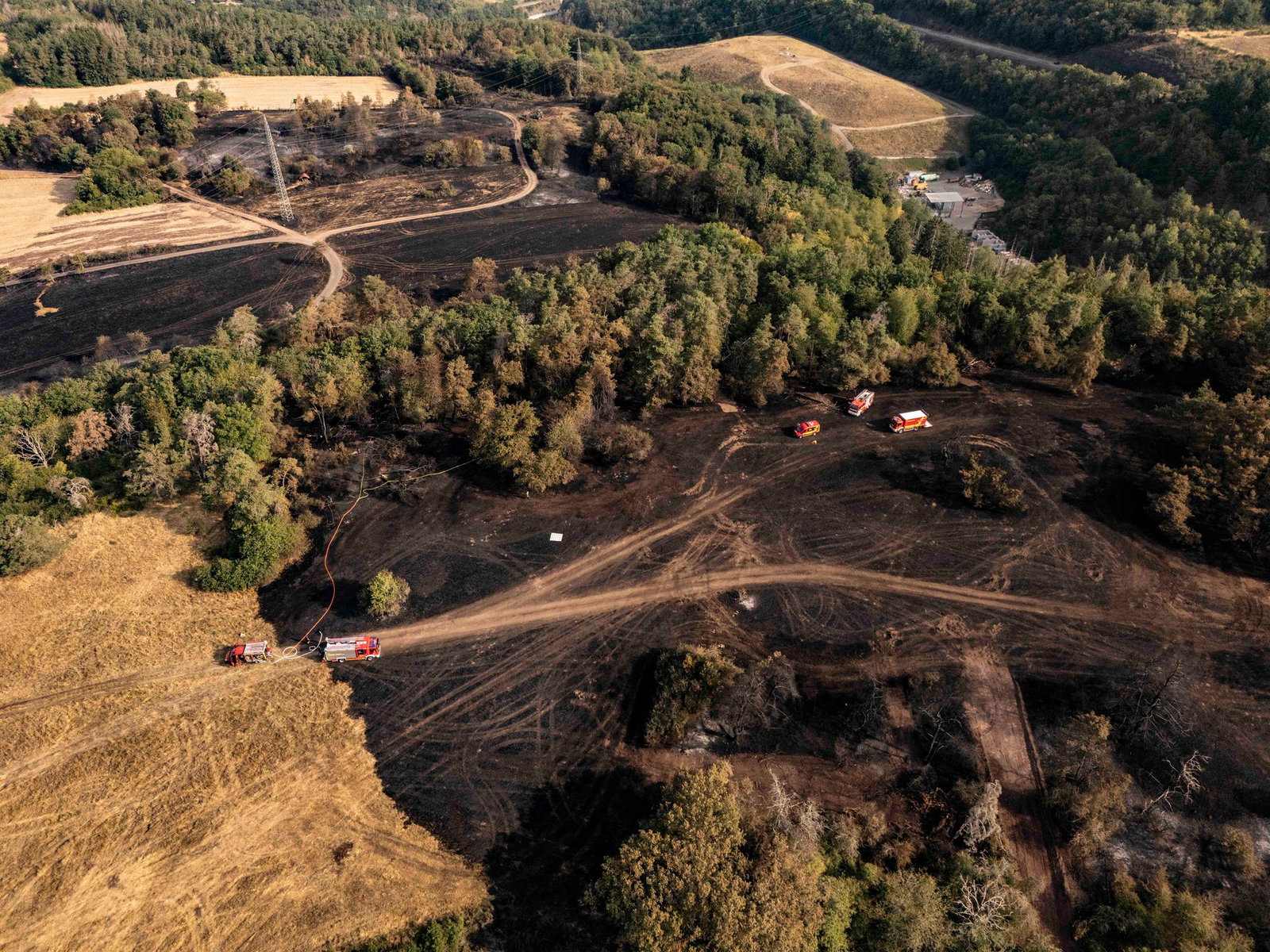 Rund 21 Hektar Wald- und Wiesenfläche wurden bei dem Brand vernichtet. (Archivbild)