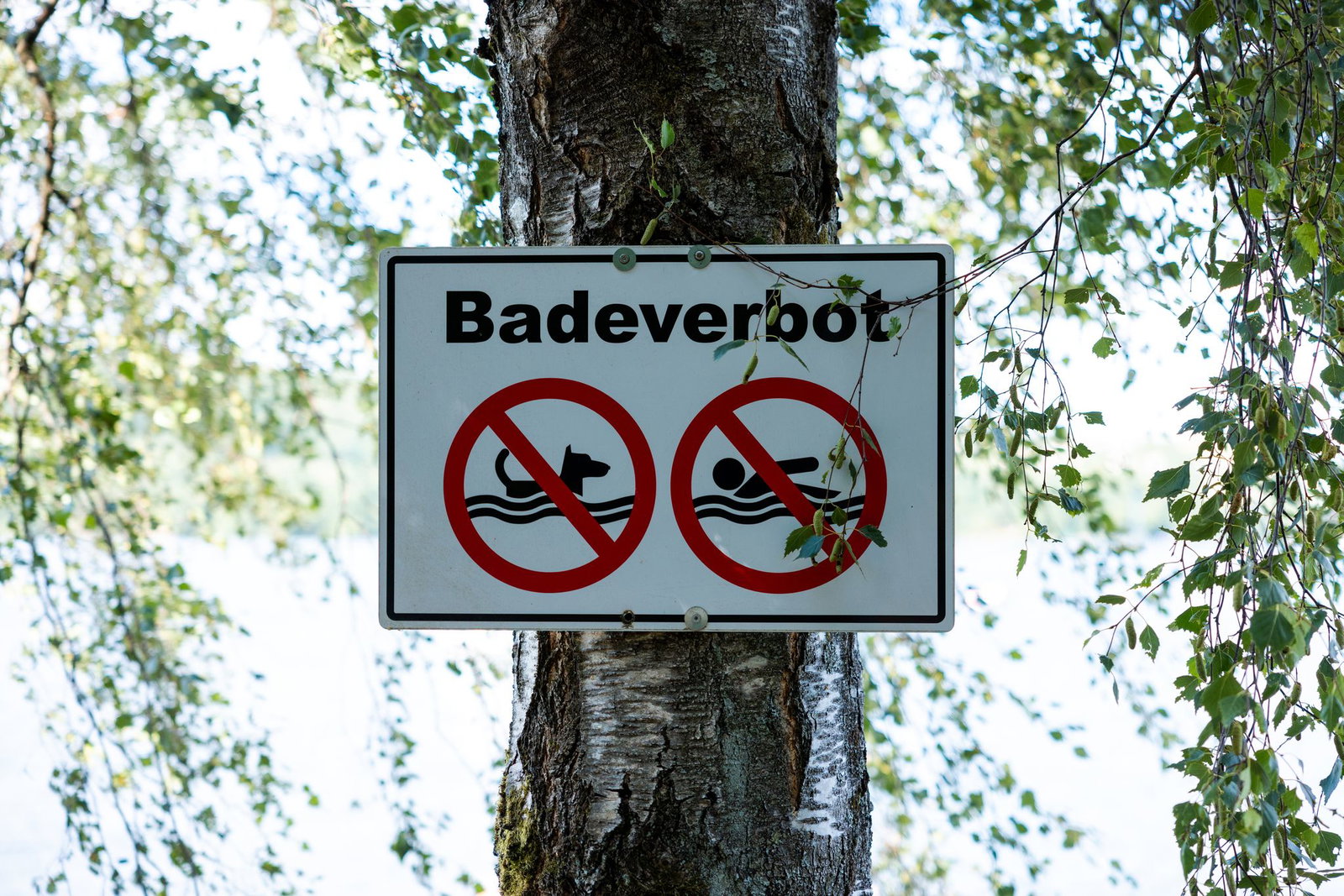 Die Stadt Offenburg hat für den Gifiz-See ein Badeverbot ausgesprochen. (Symbolbild)