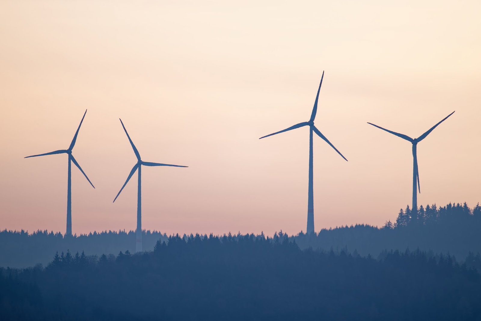 Unbekannte haben die Stromkabel des Windparks bei Oberkirch sabotiert. (Symbolbild)