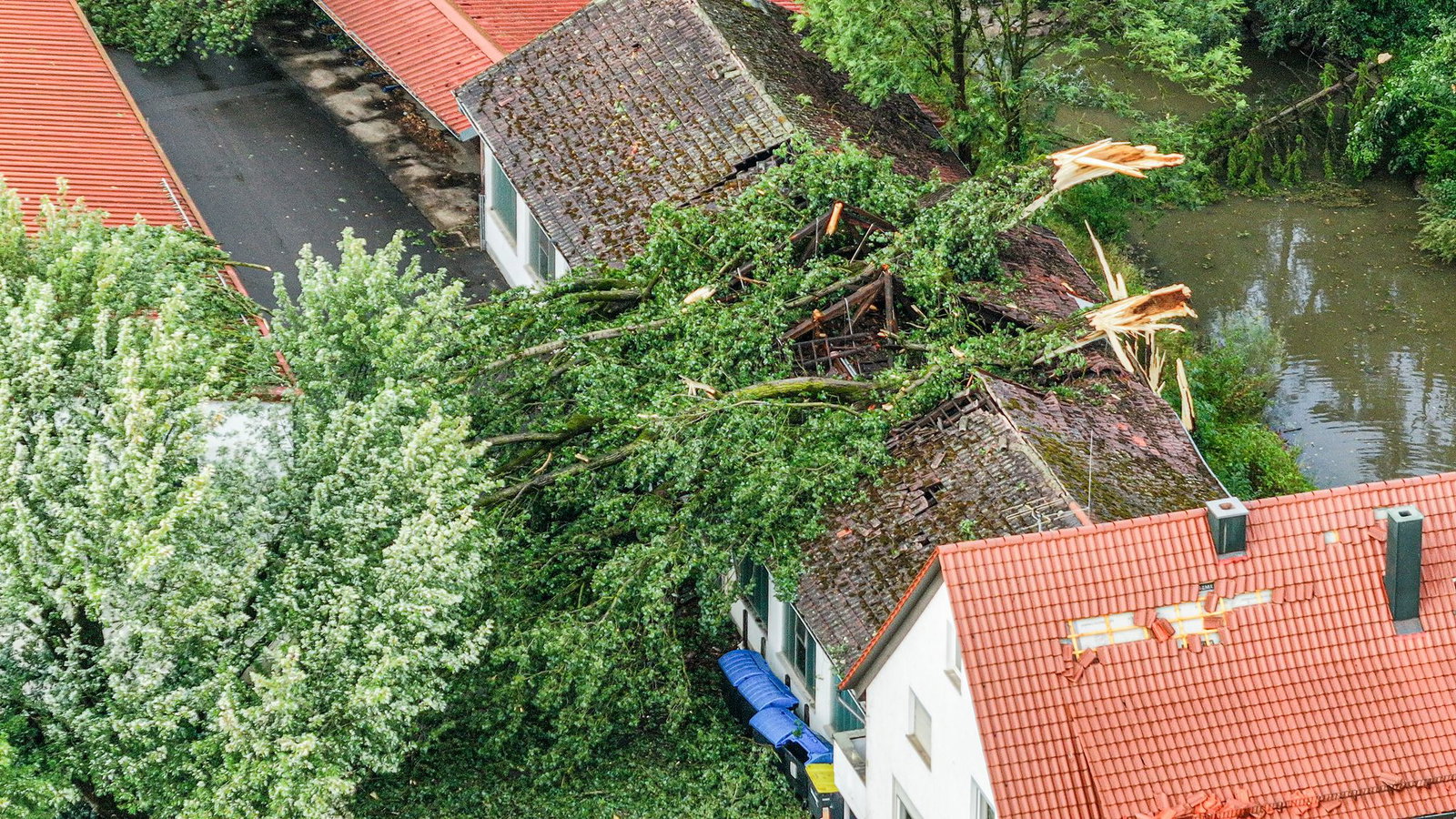 Mehrere Bäume sind umgestürzt.