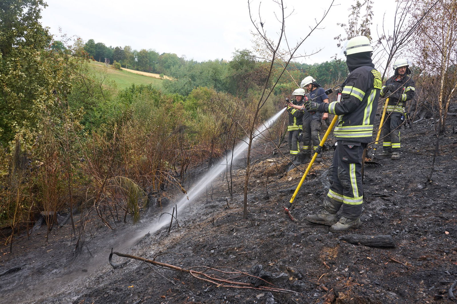 Die Feuerwehr-Gewerkschaft fordert: Deutschland muss besser auf Waldbrände vorbereitet sein. 