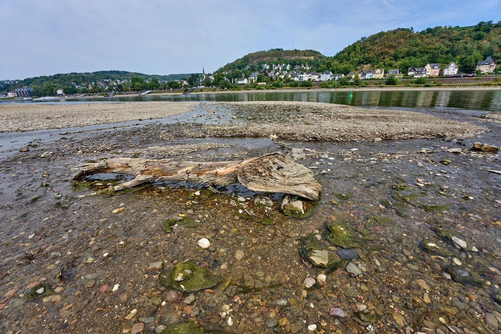 An vielen Stellen, auch an der Ahrmündung in den Rhein, wird der niedrige Wasserstand deutlich sichtbar. 