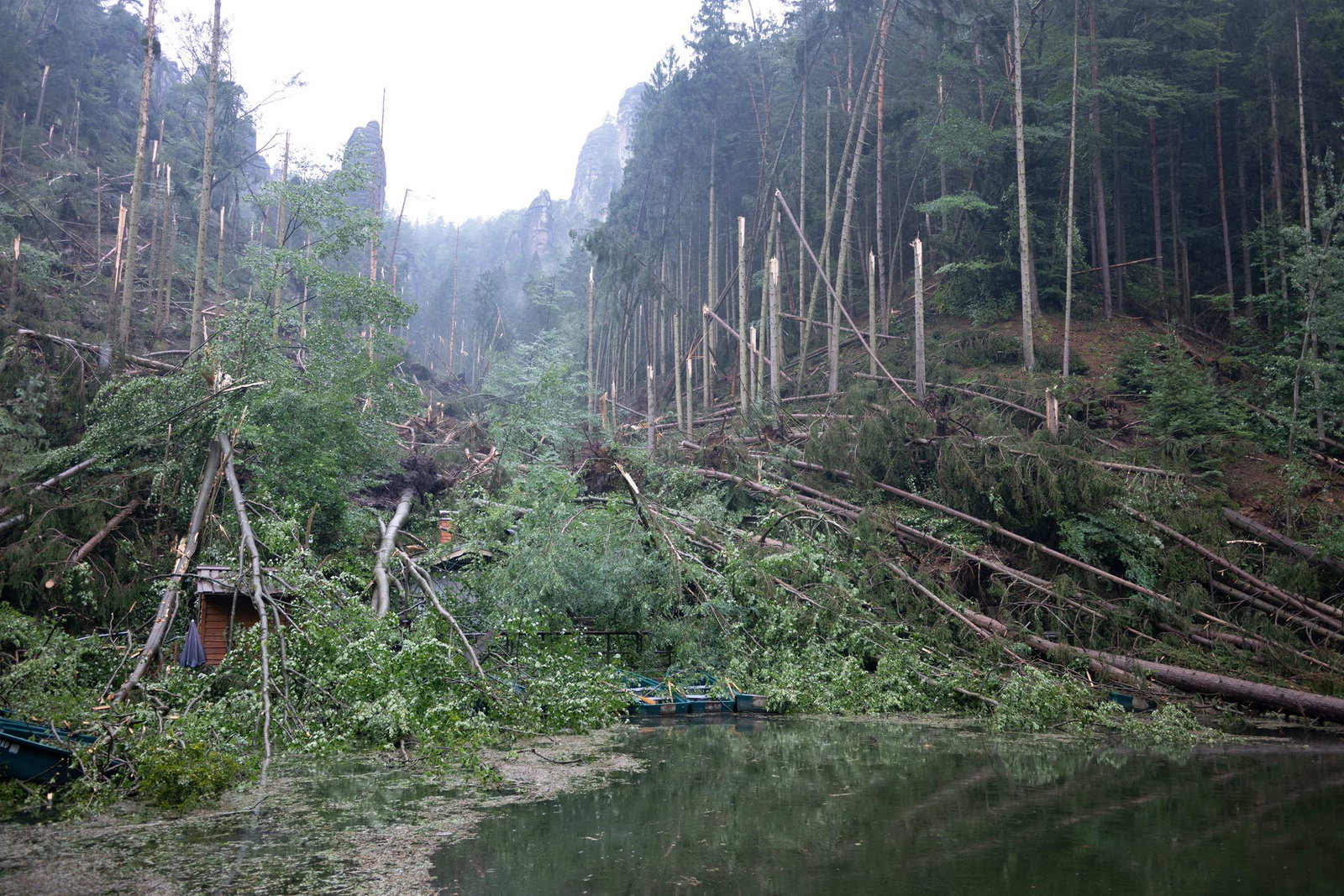 Das Unwetter schlug eine Schneise der Verwüstung. 