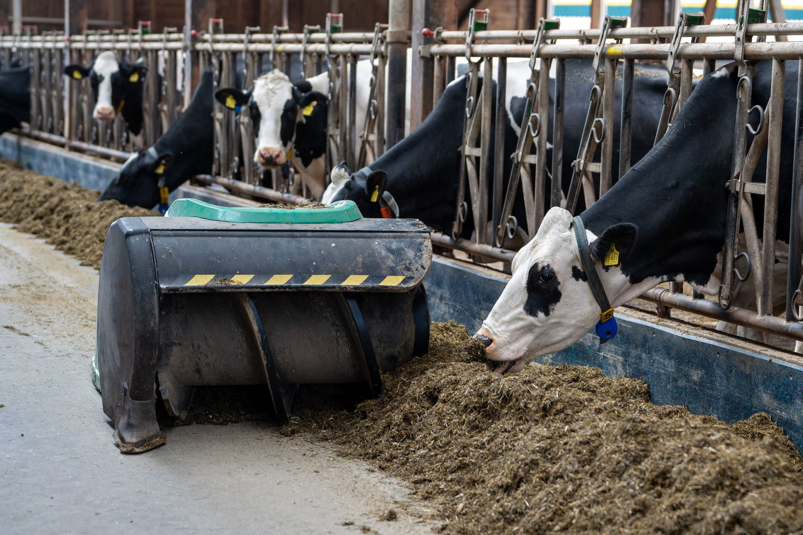 Wenn 2027 schon das Frühjahr trocken werde, könnte es zu massiven Problemen kommen, sagt Landwirt Fiedler (Archivbild)