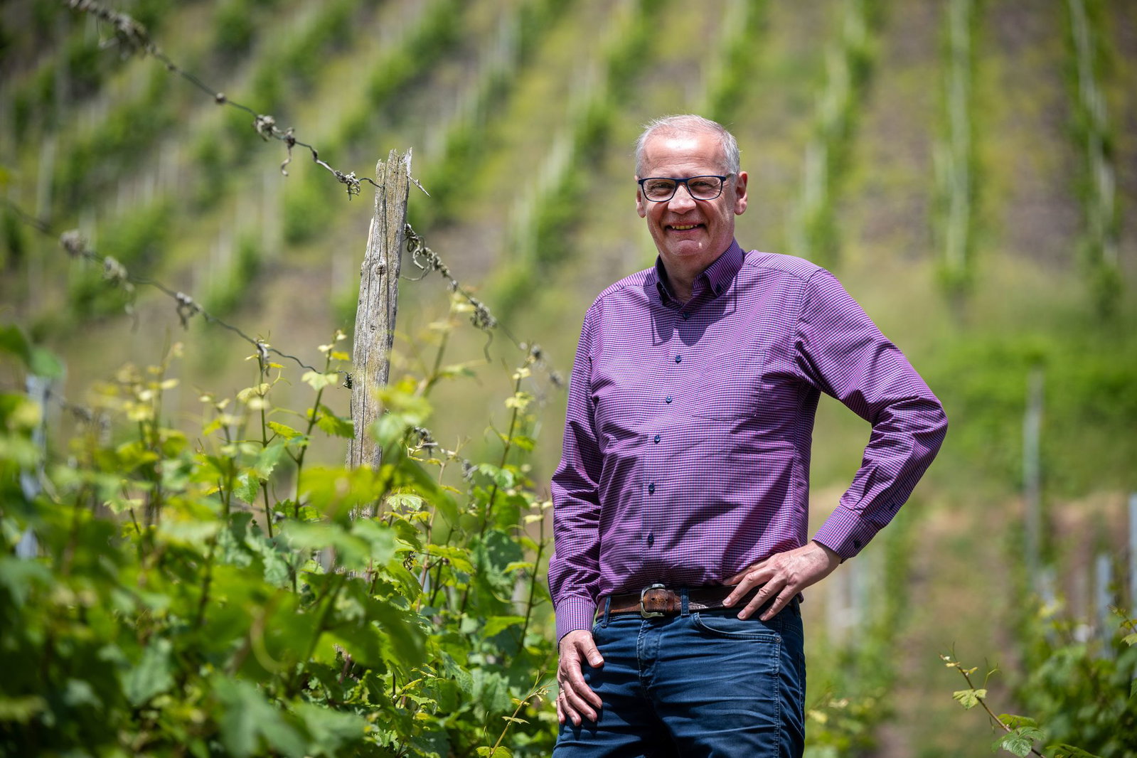 Günther Jauch ist dem Weinbau schon seit seiner Kindheit verbunden. (Archiv) 