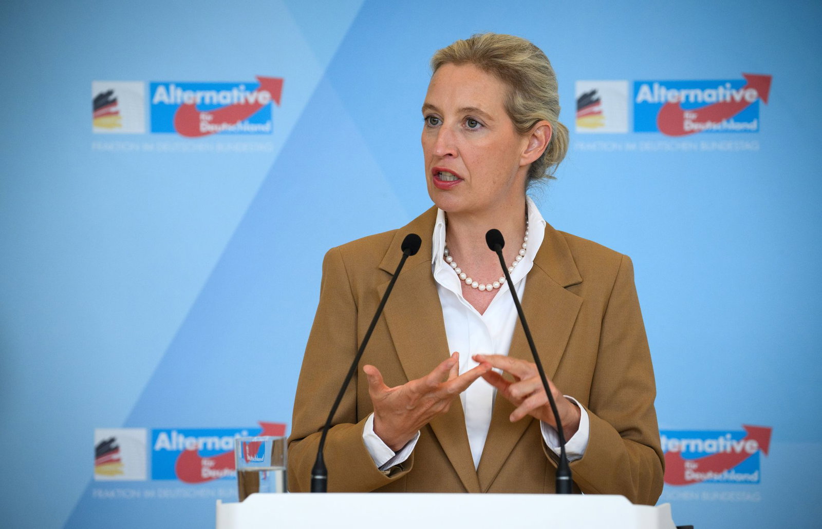 AfD-Chefin Weidel stellt das Schengen-Abkommen infrage. (Archivbild)