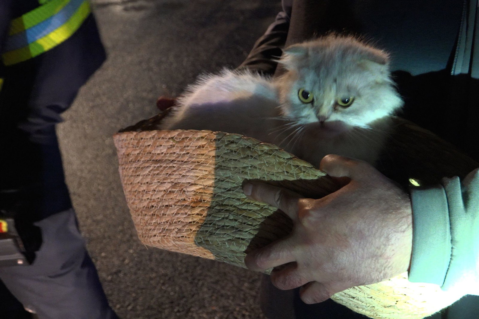 Feuerwehrleute retteten Kitty aus dem Gebäude.
