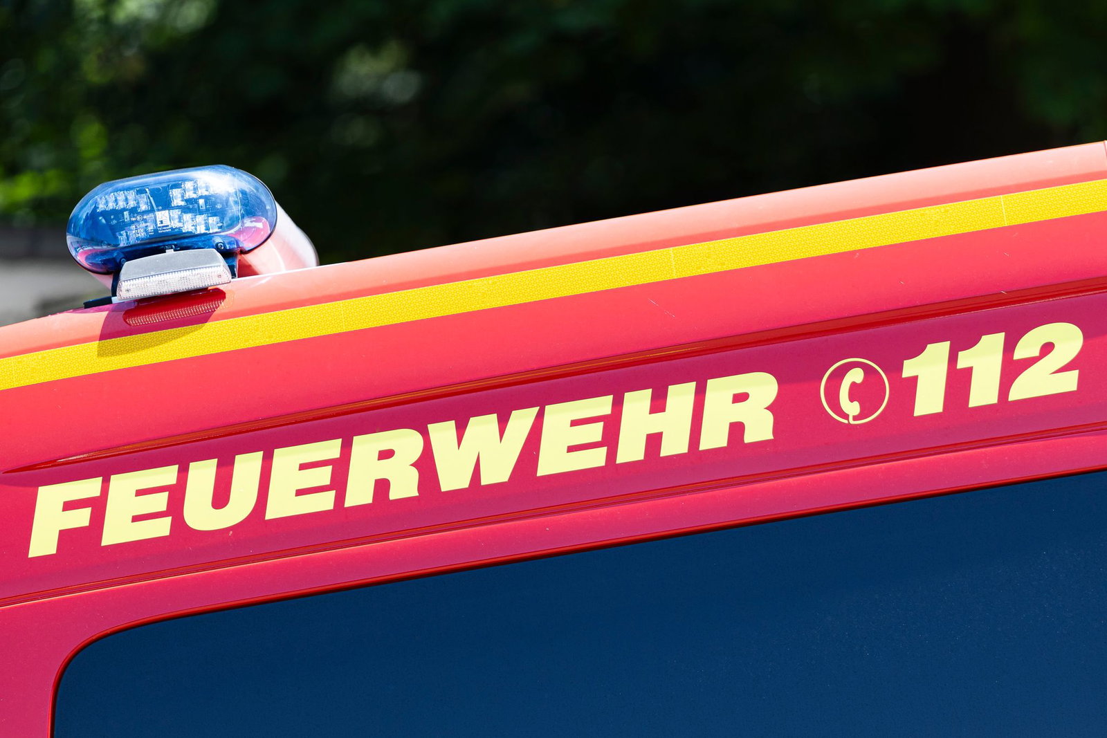 Die Feuerwehr konnte das leicht verletzte Pferd aus dem Bach bergen. (Symbolbild)