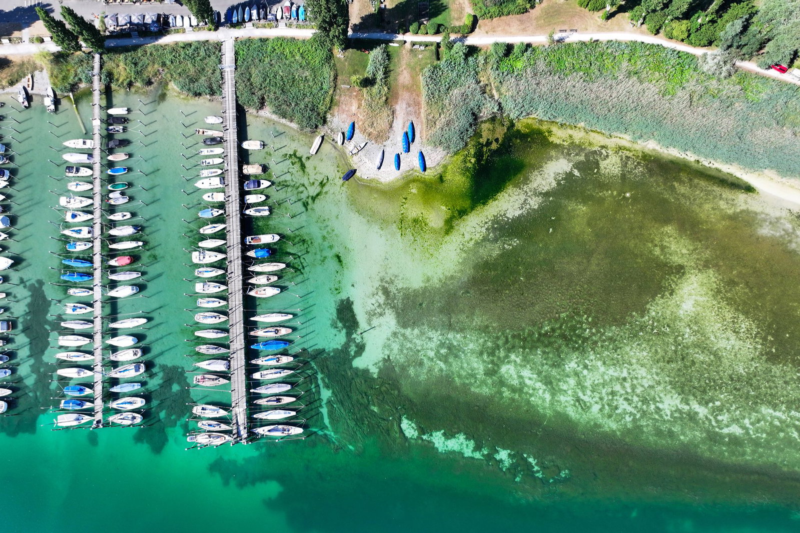 Am Bodensee werden täglich neue Minimalwerte für den jeweiligen Tag gemessen.(Archiv)